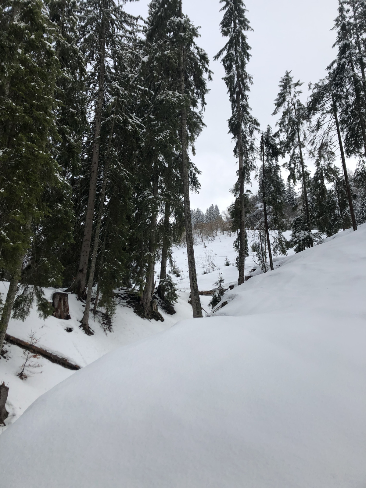 รูปถ่าย ฝรั่งเศส(France) เมแฌฟว์(Megeve) 2019-03 51
