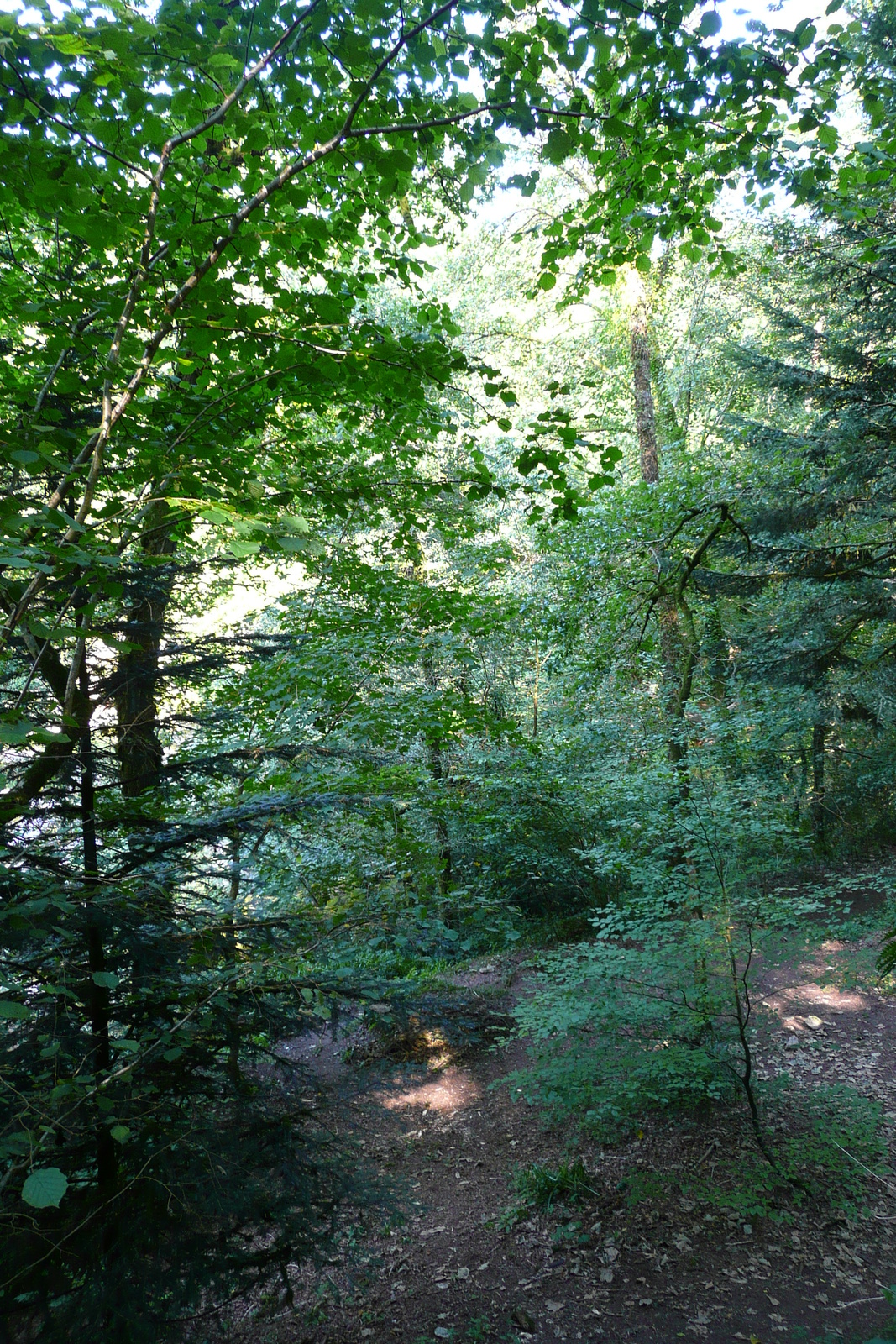 รูปถ่าย ฝรั่งเศส(France) อูแอลโกแอท(Huelgoat) 2007-08 64
