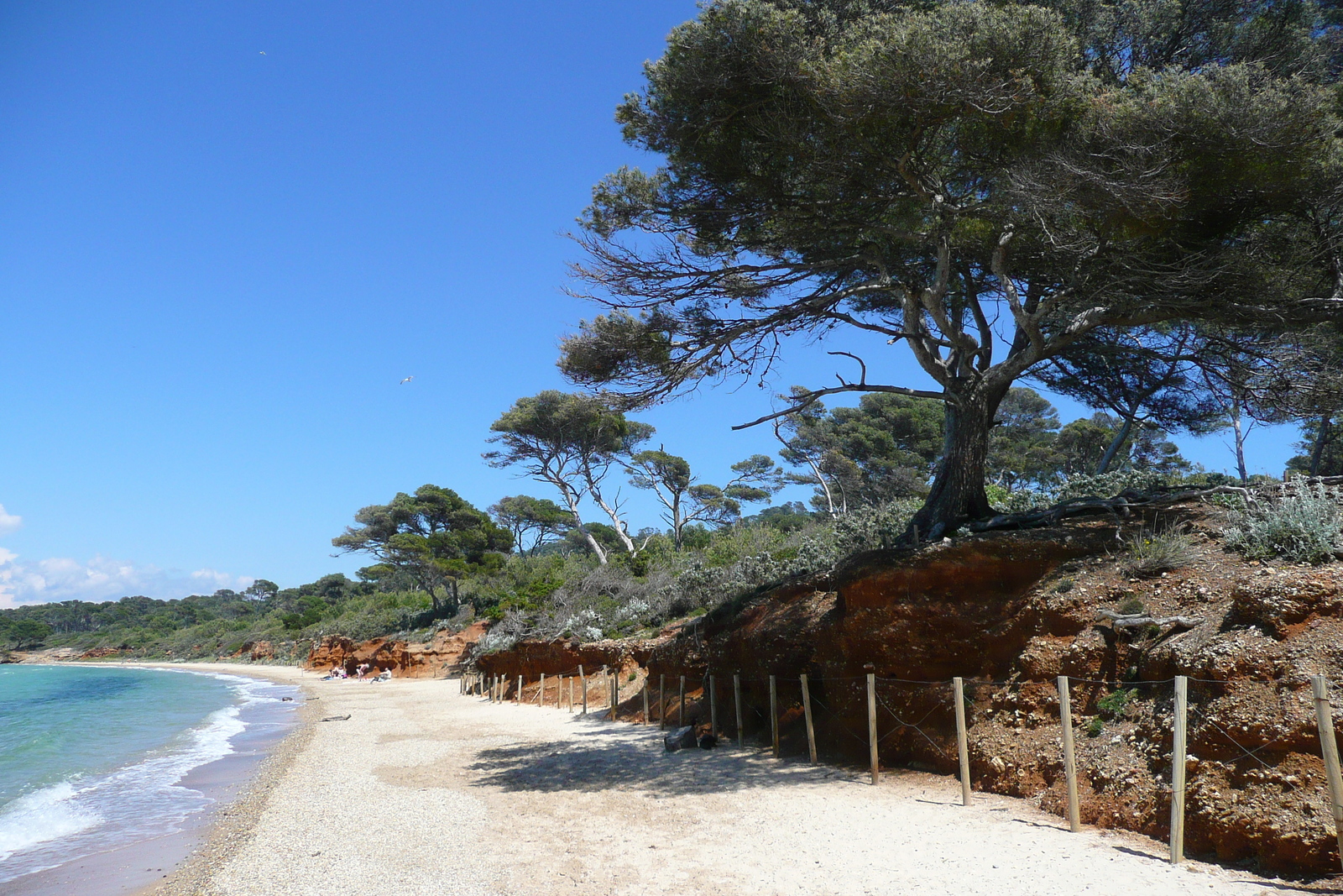 รูปถ่าย ฝรั่งเศส(France) เกาะปอร์เกอรอล(Porquerolles Island) หาดกูร์ตาด(Courtade beach) 2008-05 71