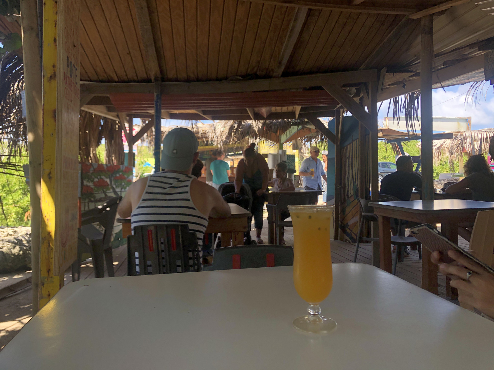 รูปถ่าย กวาเดอลูป(Guadeloupe) แหลมคาสเซิลพอยต์(Castle Point) 2021-02 307