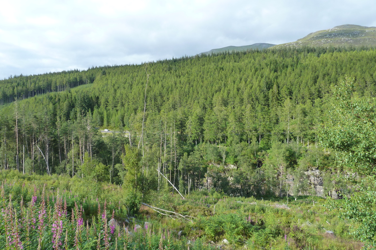 รูปถ่าย อังกฤษ(United Kingdom) เวสเตอร์รอสส์(Wester Ross) 2011-07 36
