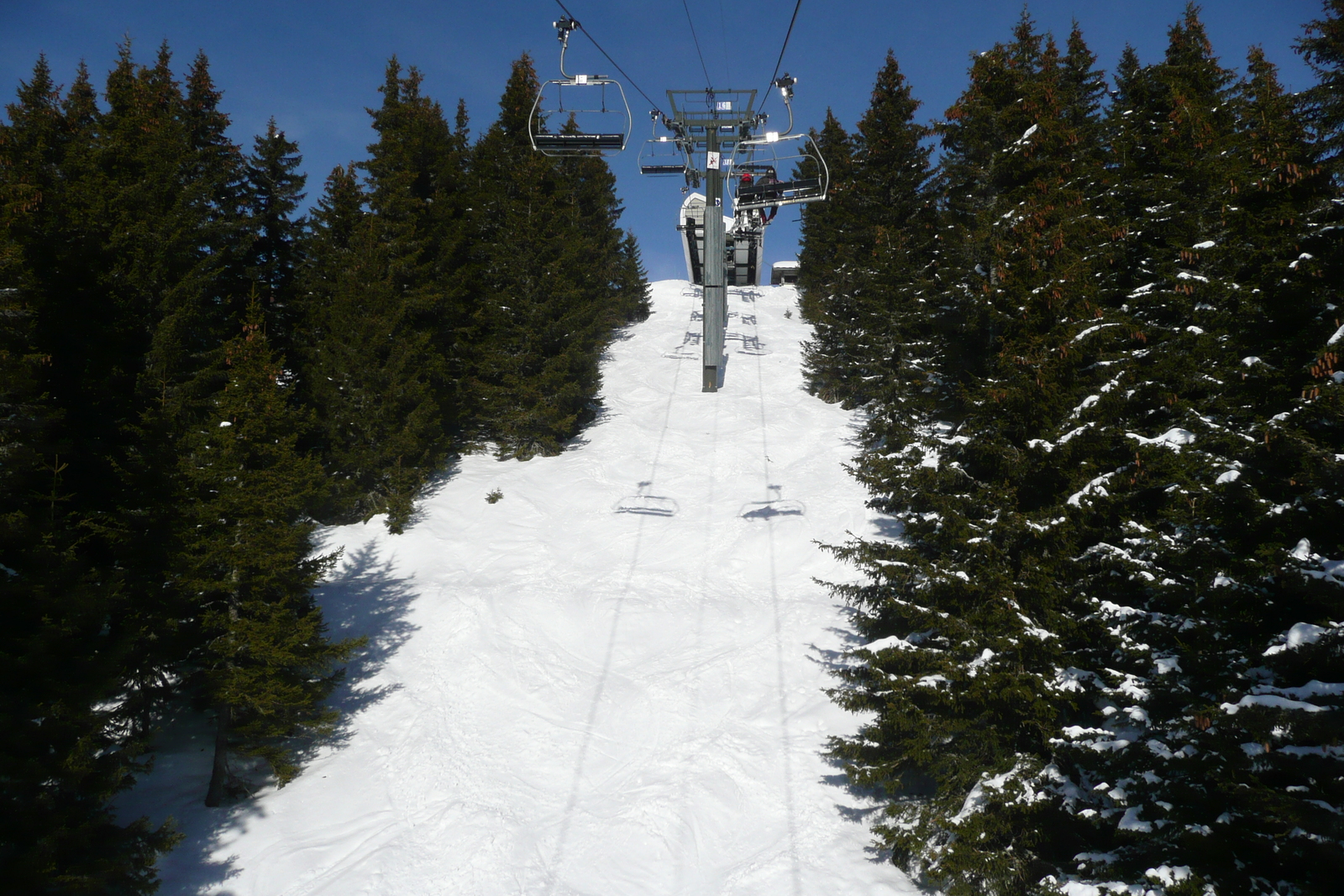 รูปถ่าย ฝรั่งเศส(France) เมแฌฟว์(Megeve) มงดาร์บัว(Mont d'Arbois) 2010-02 118