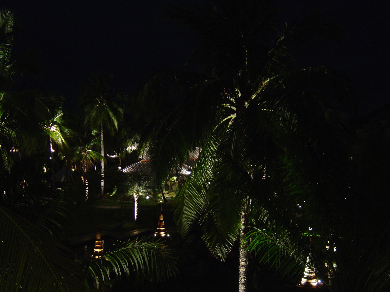 รูปถ่าย ไทย(Thailand) เขาหลัก(Khao Lak) โรงแรมเลอเมอริเดียน เขาหลัก(Meridien Khao Lak Hotel) สีสันกลางคืน(By Night) 2005-12 26