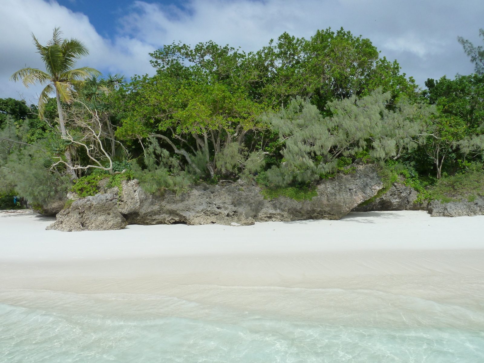 รูปถ่าย นิวแคลิโดเนีย(New Caledonia) 2010-05 44