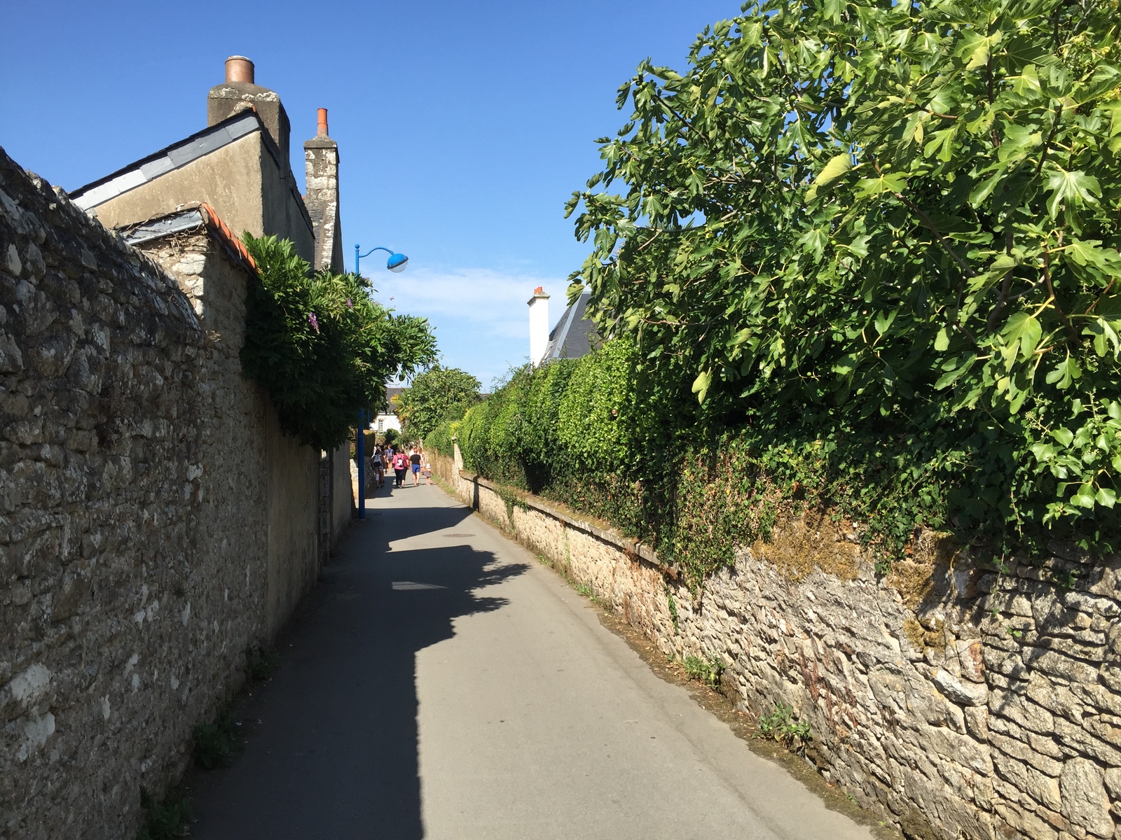 รูปถ่าย ฝรั่งเศส(France) เกาะโอมวน(Ile-aux-Moines) 2016-08 17