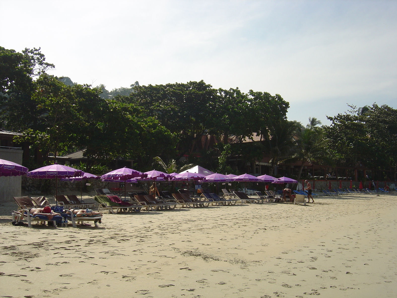 รูปถ่าย ไทย(Thailand) ภูเก็ต(Phuket) หาดกะตะ(Kata Beach) 2005-12 7