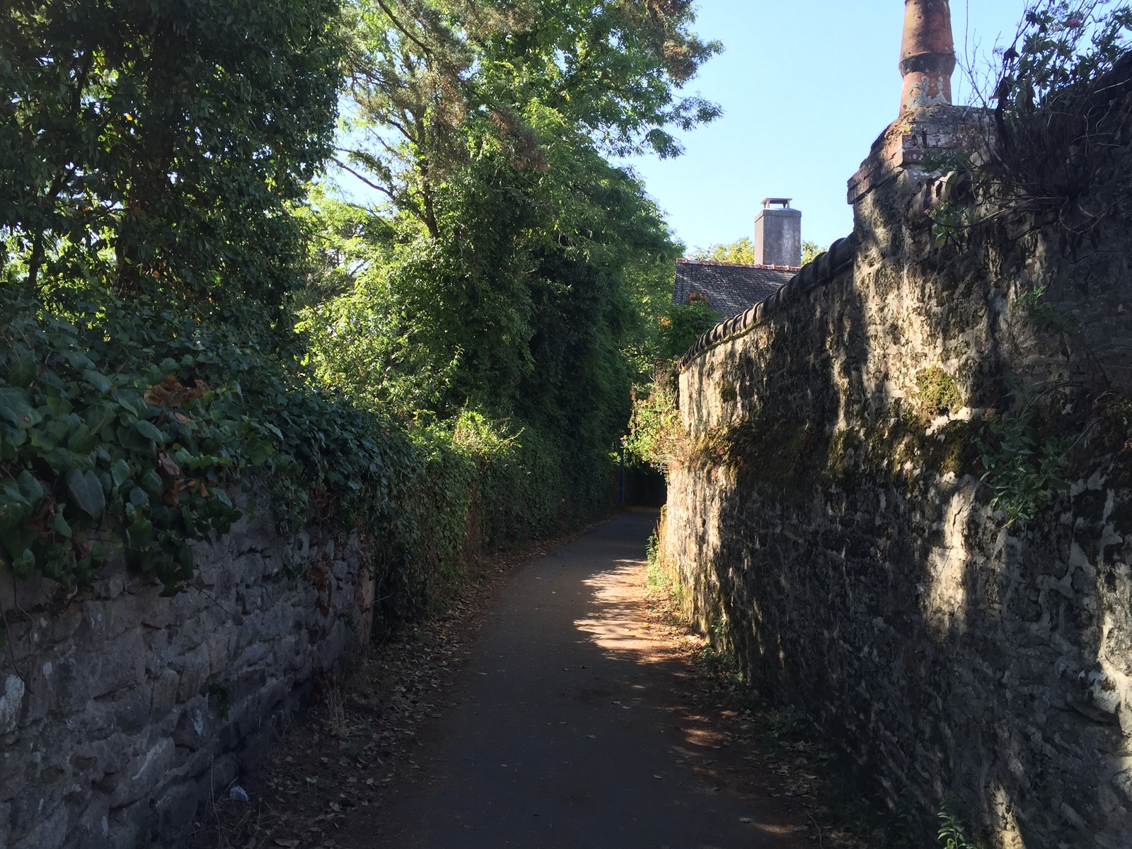 รูปถ่าย ฝรั่งเศส(France) เกาะโอมวน(Ile-aux-Moines) 2016-08 107