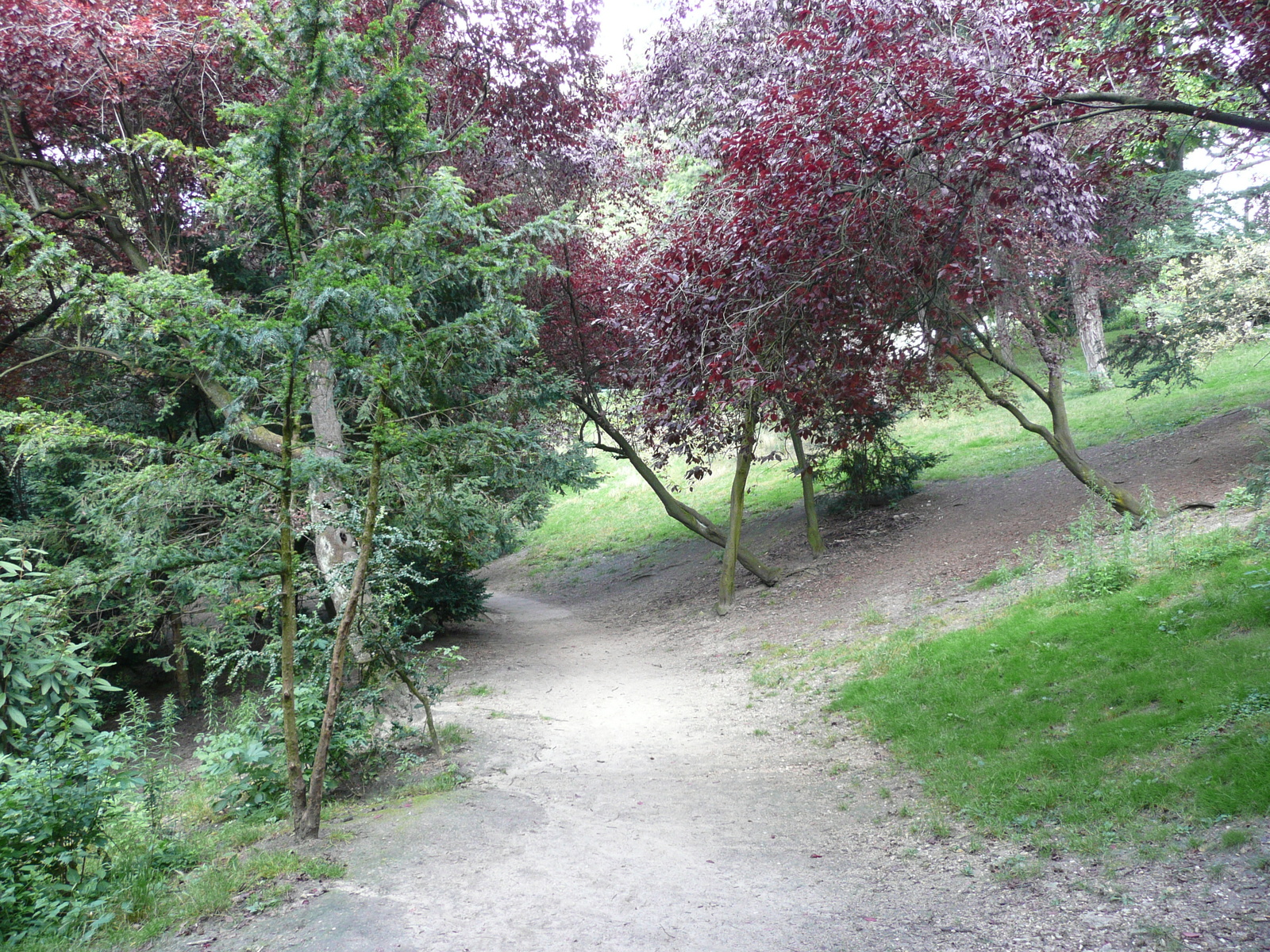 รูปถ่าย ฝรั่งเศส(France) ปารีส(Paris) สวนบุต-โชมง(Parc des Buttes Chaumont) 2007-08 5