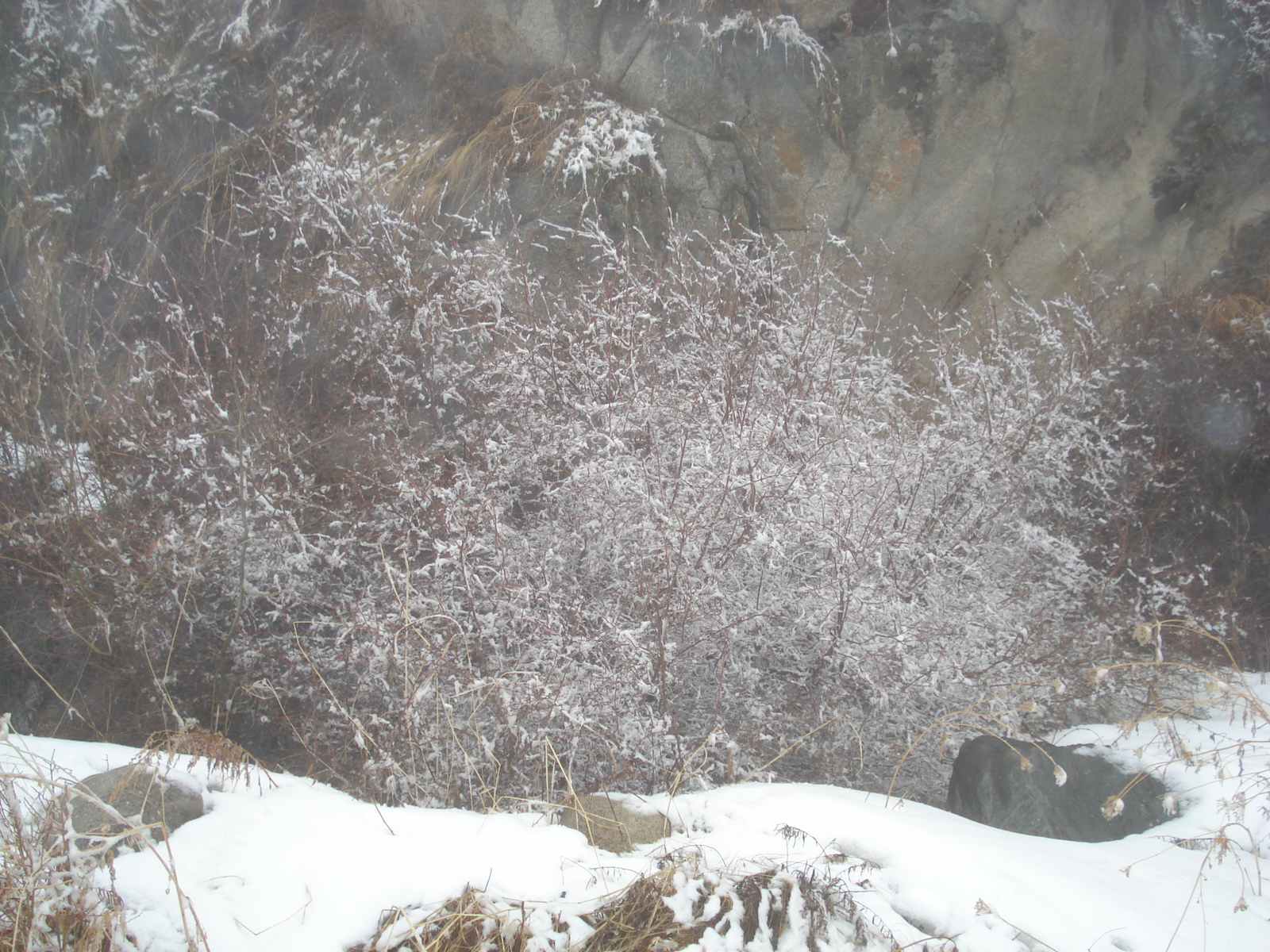 รูปถ่าย คาซัคสถาน(Kazakhstan) อุทยานแห่งชาติอีเลอาลาเตา(Ile Alatau National Park) 2007-03 2