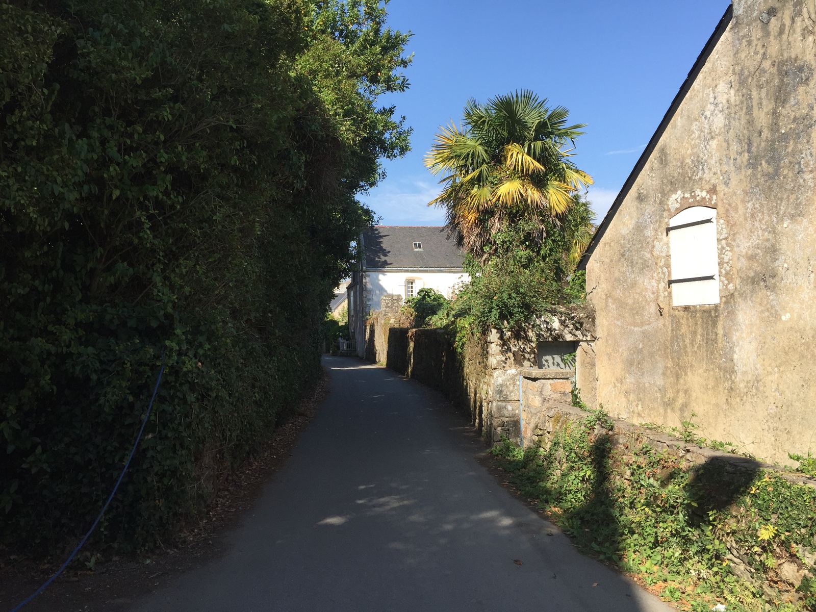 รูปถ่าย ฝรั่งเศส(France) เกาะโอมวน(Ile-aux-Moines) 2016-08 105