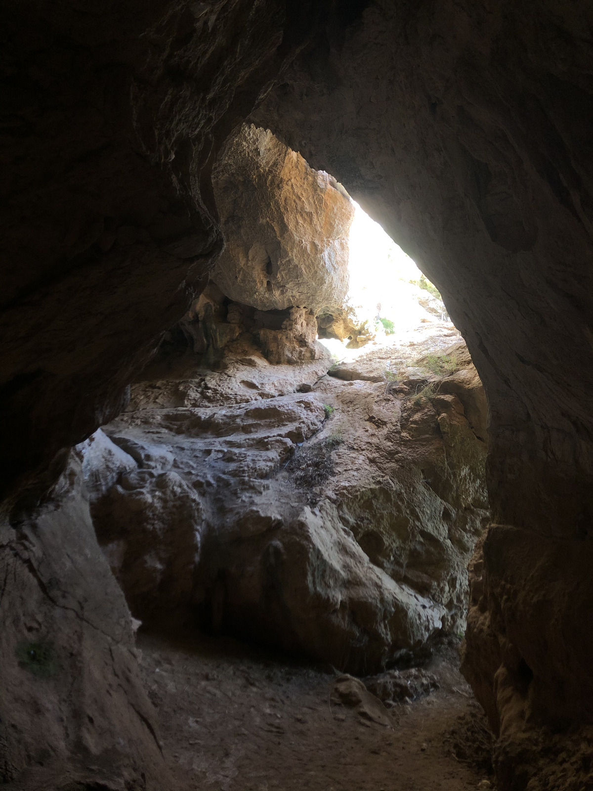รูปถ่าย ฝรั่งเศส(France) นีเมอ(Nimes) 2021-05 25