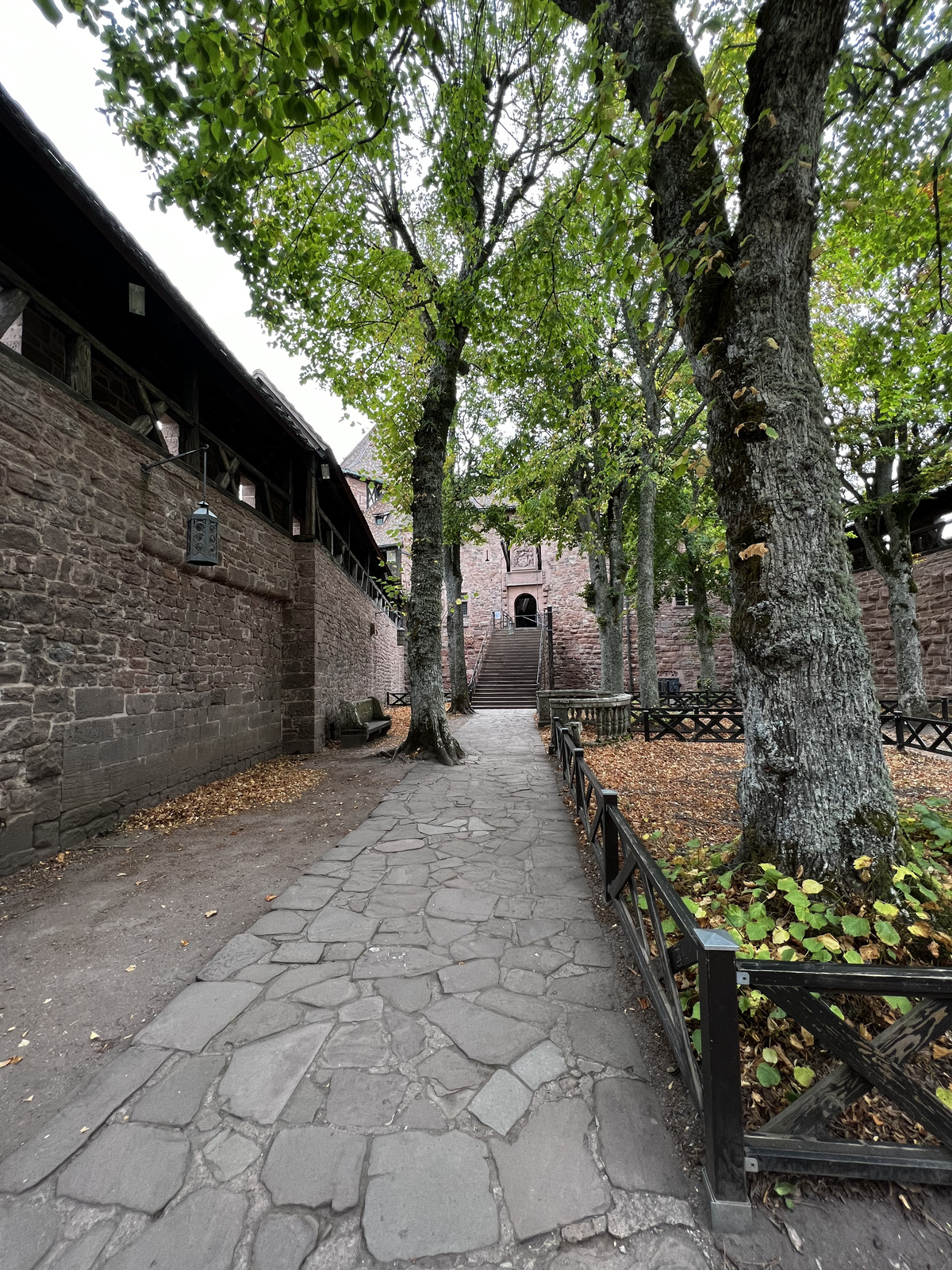 รูปถ่าย ฝรั่งเศส(France) ปราสาทโอ-เคอนิกส์บูร์ก(Koenigsbourg Castle) 2023-10 60