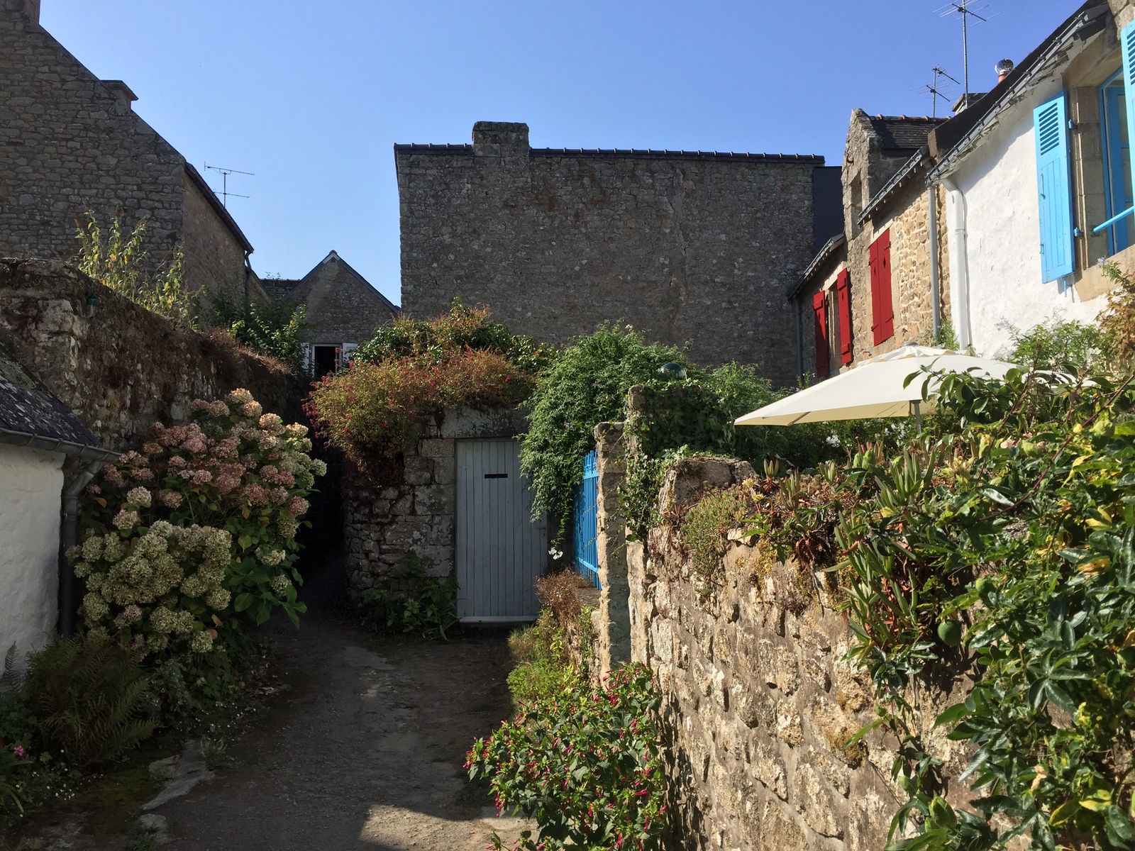 รูปถ่าย ฝรั่งเศส(France) เกาะโอมวน(Ile-aux-Moines) 2016-08 82
