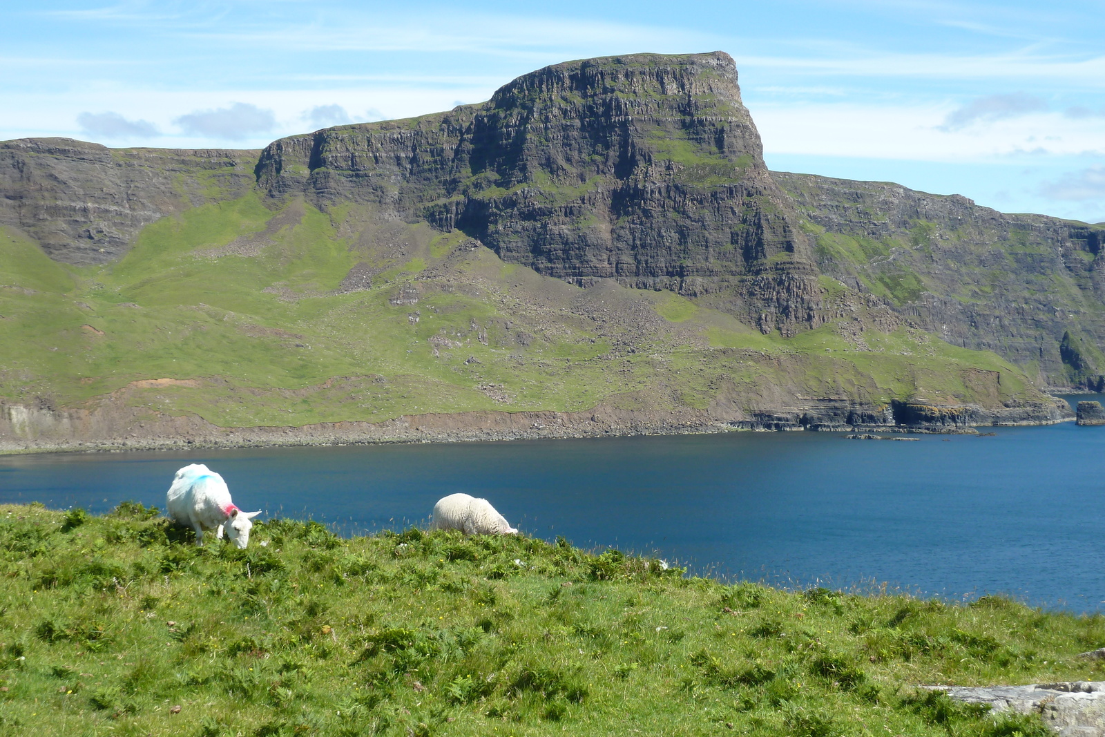 รูปถ่าย อังกฤษ(United Kingdom) เกาะสกาย(Skye) แหลมนีสต์พอยต์(Neist Point) 2011-07 54