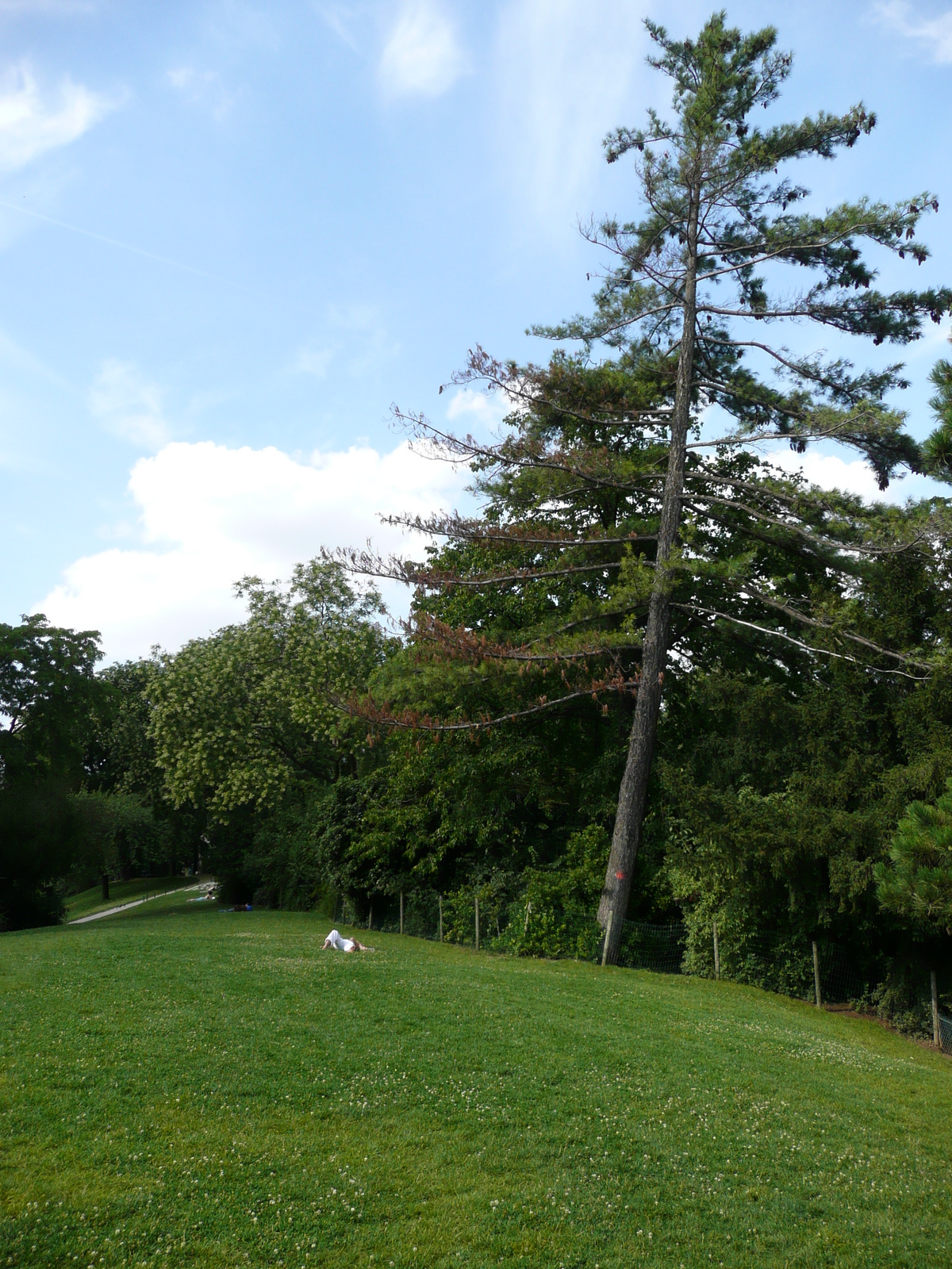 รูปถ่าย ฝรั่งเศส(France) ปารีส(Paris) สวนบุต-โชมง(Parc des Buttes Chaumont) 2007-08 42