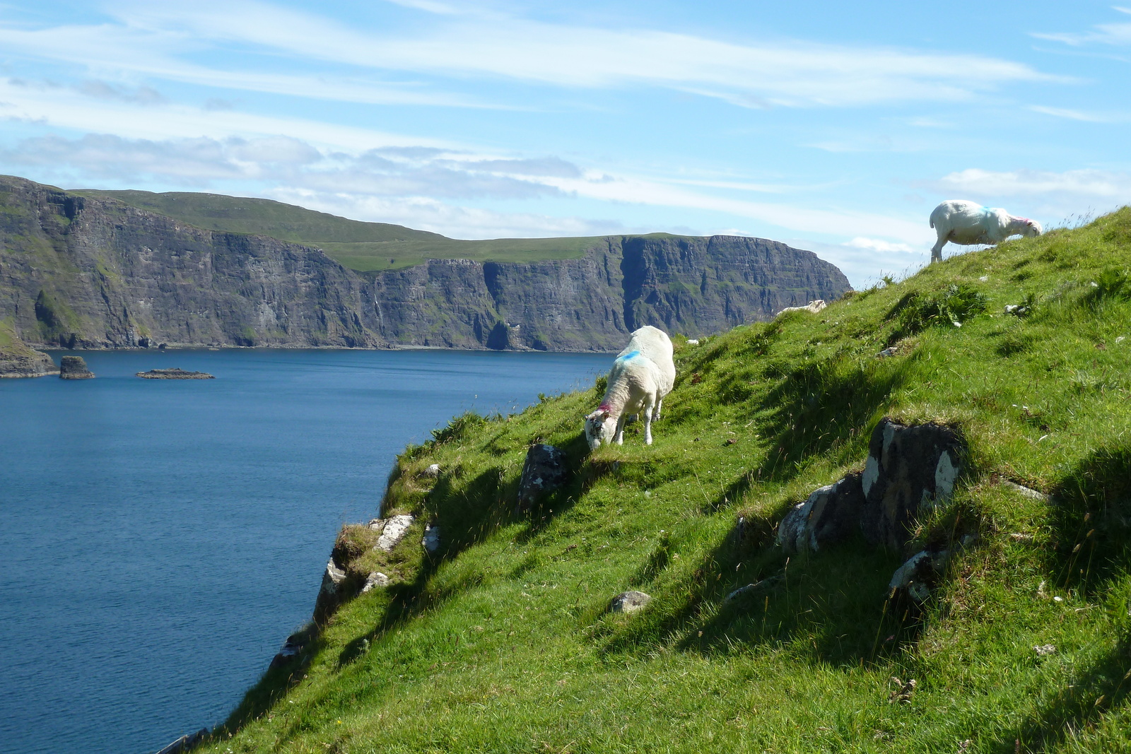 รูปถ่าย อังกฤษ(United Kingdom) เกาะสกาย(Skye) แหลมนีสต์พอยต์(Neist Point) 2011-07 43