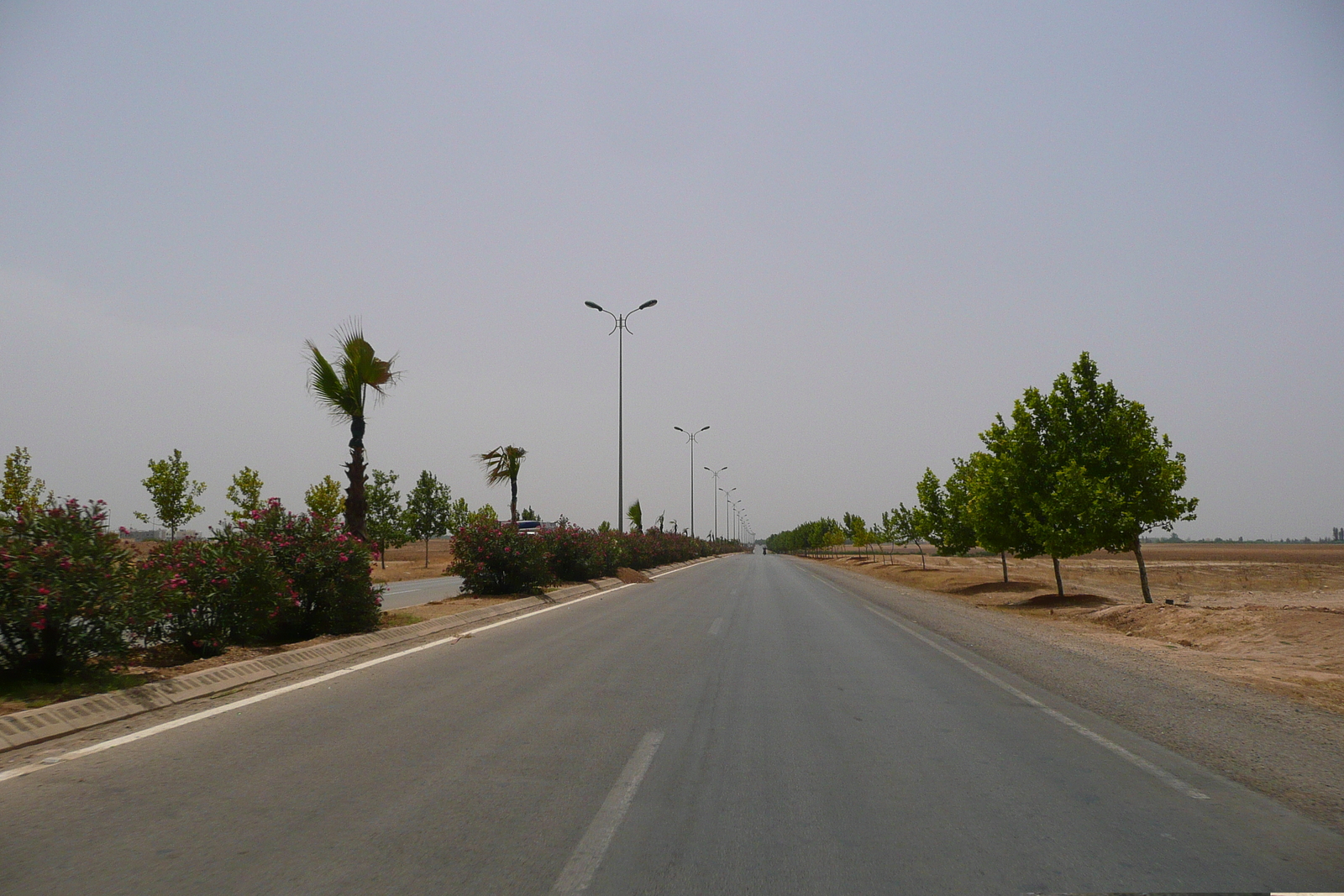 รูปถ่าย โมร็อกโก(Morocco) ถนนจากเฟสไปราบัต(Fes to Rabat Road) 2008-07 10