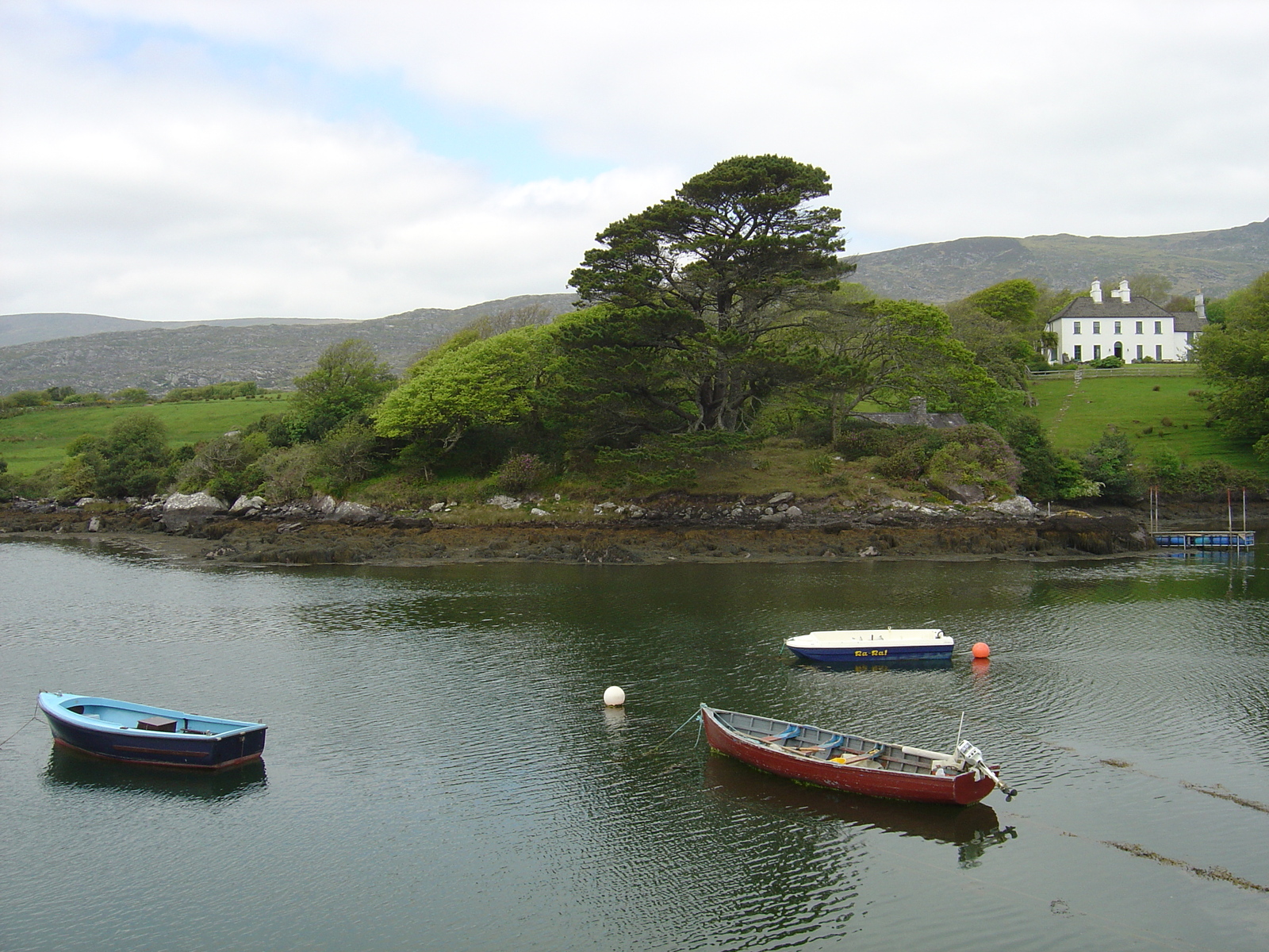 รูปถ่าย ไอร์แลนด์(Ireland) เคอร์รี่(Kerry) ปาร์คนาสิลล่า(Parknasilla) 2004-05 22