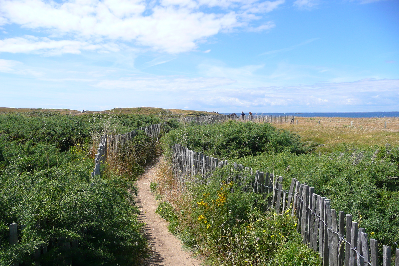 รูปถ่าย ฝรั่งเศส(France) คาบสมุทรกีเบอรง(Quiberon peninsula) แหลมแปร์โช(Pointe du Percho) 2008-07 30