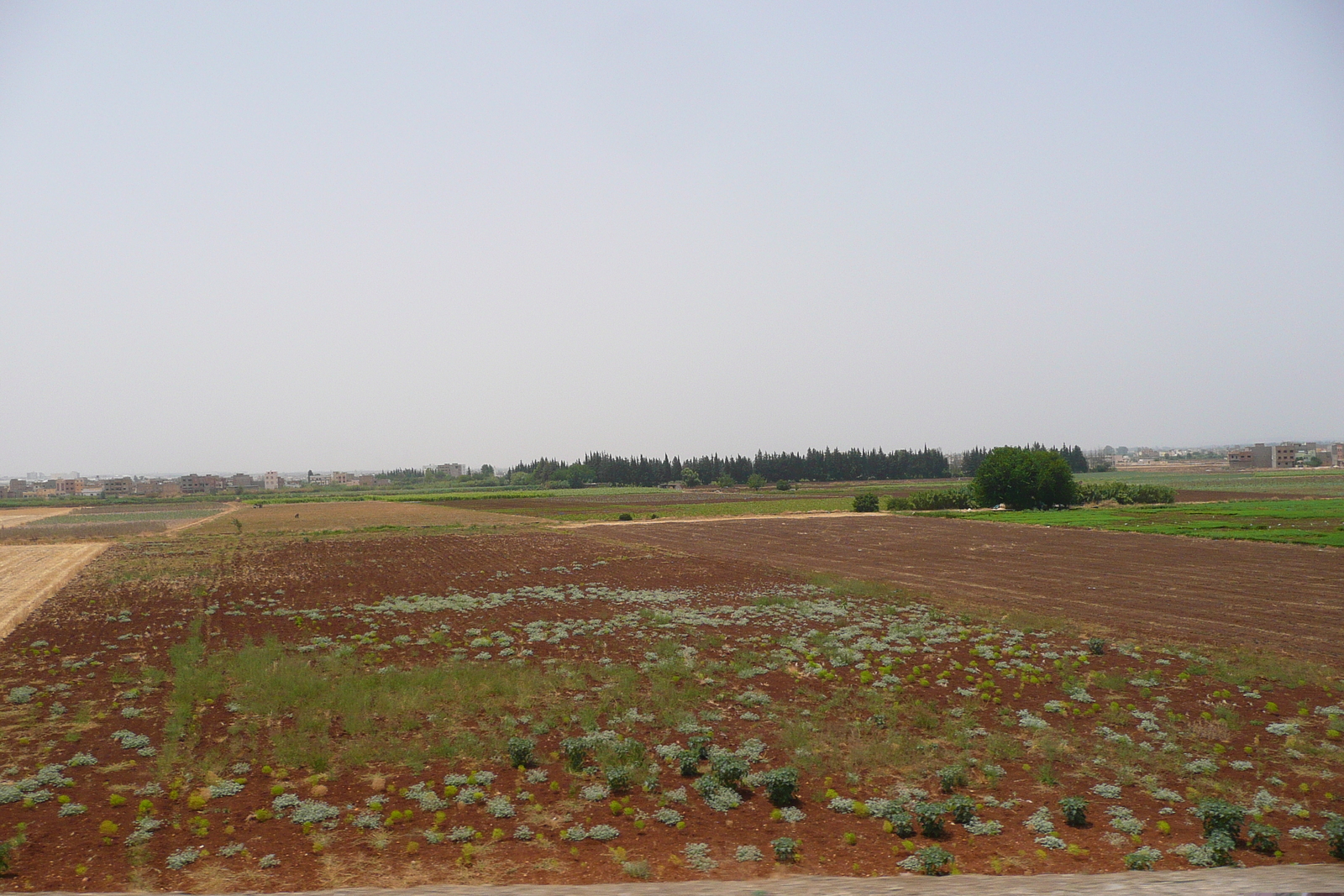 รูปถ่าย โมร็อกโก(Morocco) ถนนจากเฟสไปราบัต(Fes to Rabat Road) 2008-07 78