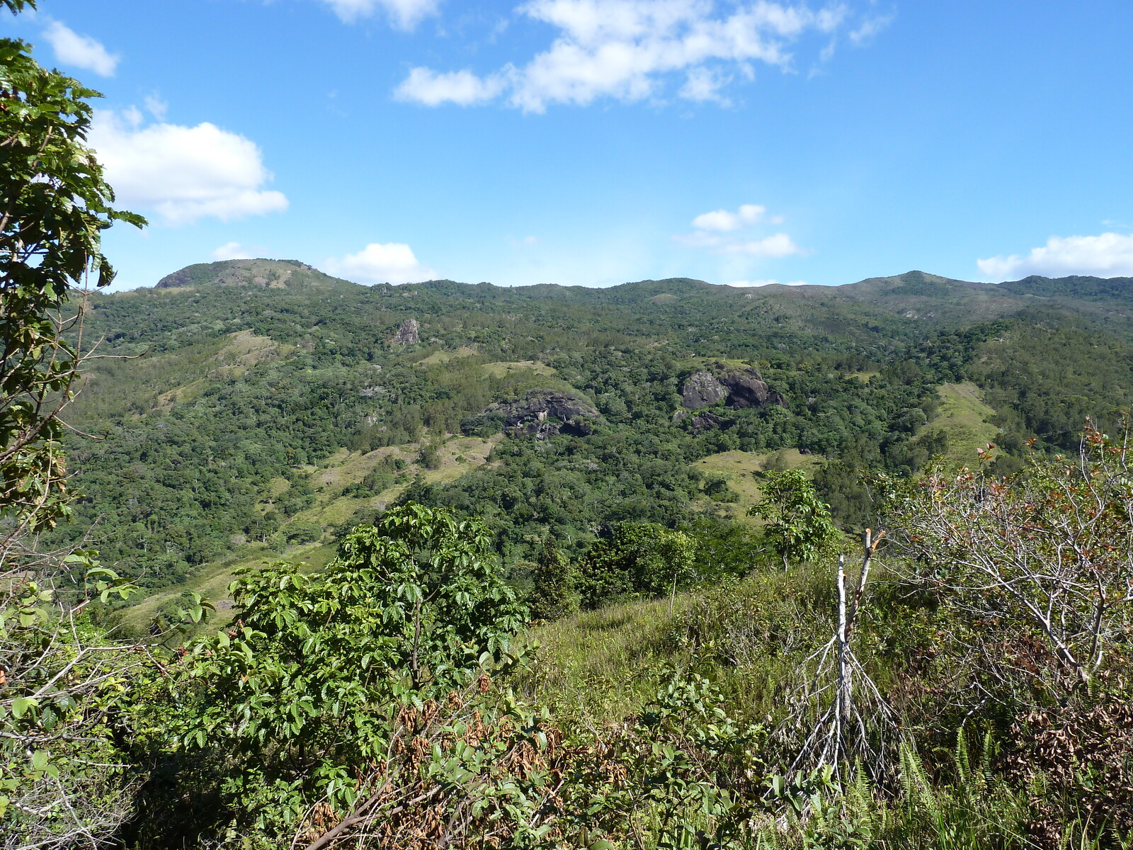 รูปถ่าย นิวแคลิโดเนีย(New Caledonia) ถนนจากทีโอไปกานาลา(Thio to Canala road) 2010-05 52