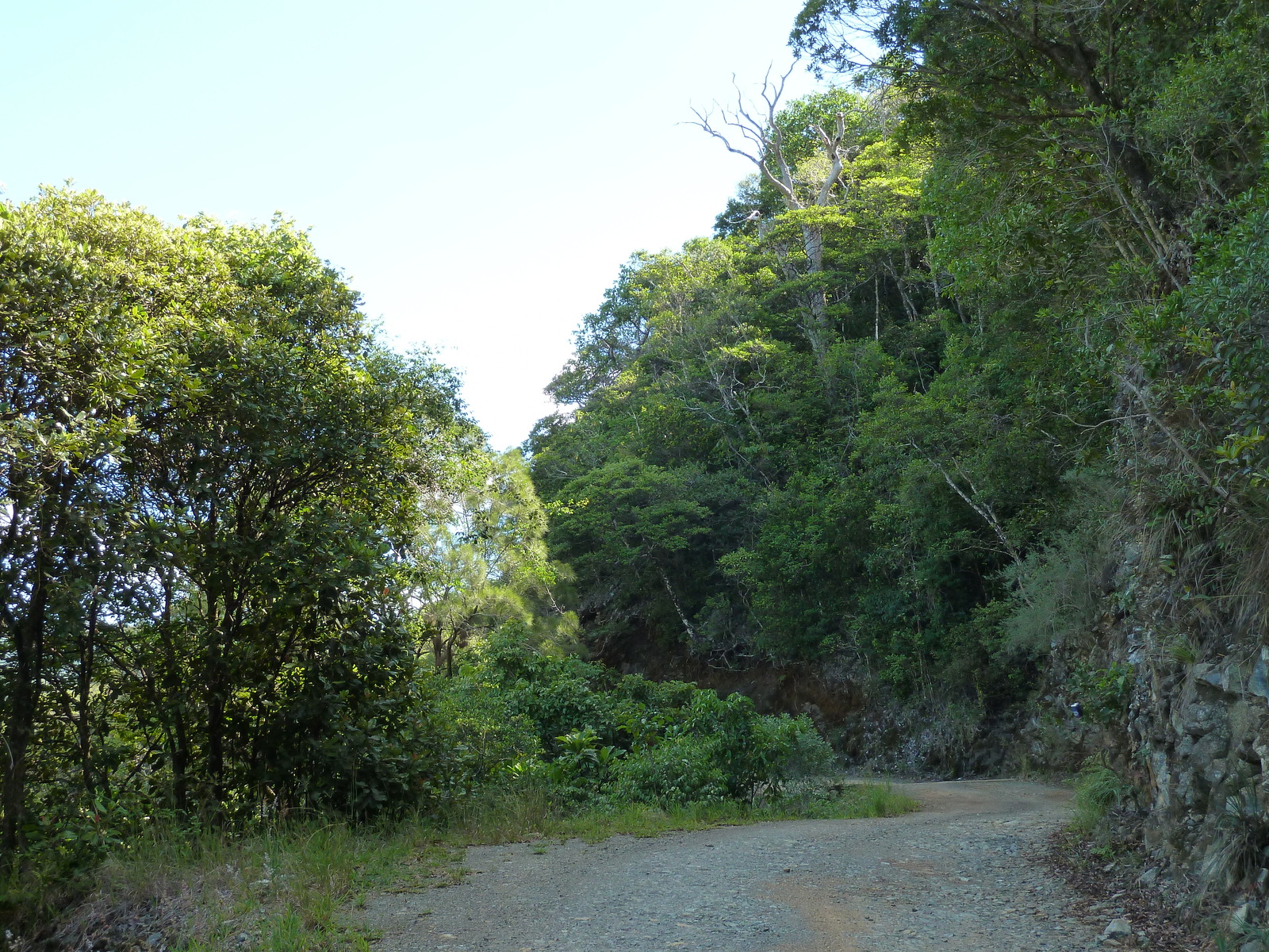 รูปถ่าย นิวแคลิโดเนีย(New Caledonia) ถนนจากทีโอไปกานาลา(Thio to Canala road) 2010-05 41