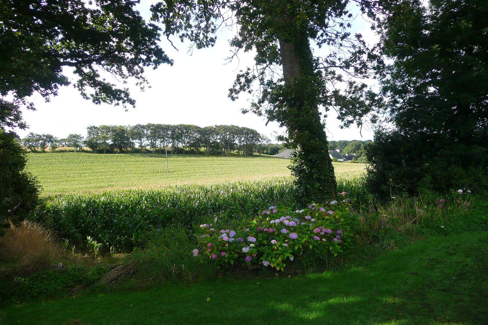 รูปถ่าย ฝรั่งเศส(France) โรงแรมคฤหาสน์แกร์อูแอล(Kerhuel Manor Hotel) 2008-07 29
