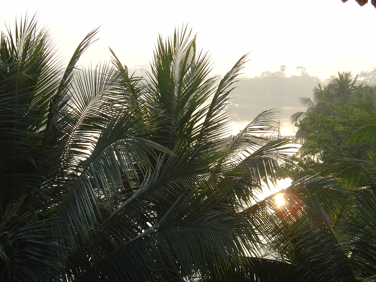 รูปถ่าย พม่า(Myanmar) ย่างกุ้ง(Yangon) โรงแรมกันดอจีพาเลซ(Kandawgyi Palace Hotel) 2005-01 0