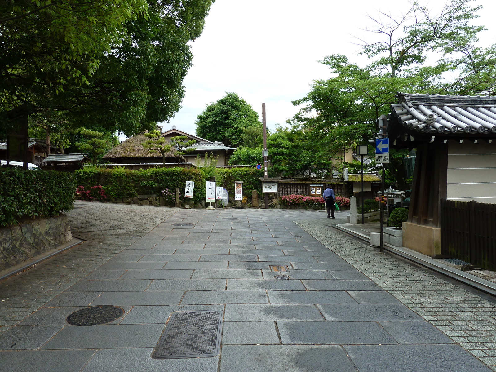 รูปถ่าย ญี่ปุ่น(Japan) เกียวโต(Kyoto) ถนนฮานามิโคจิ(Hanami koji) 2010-06 20