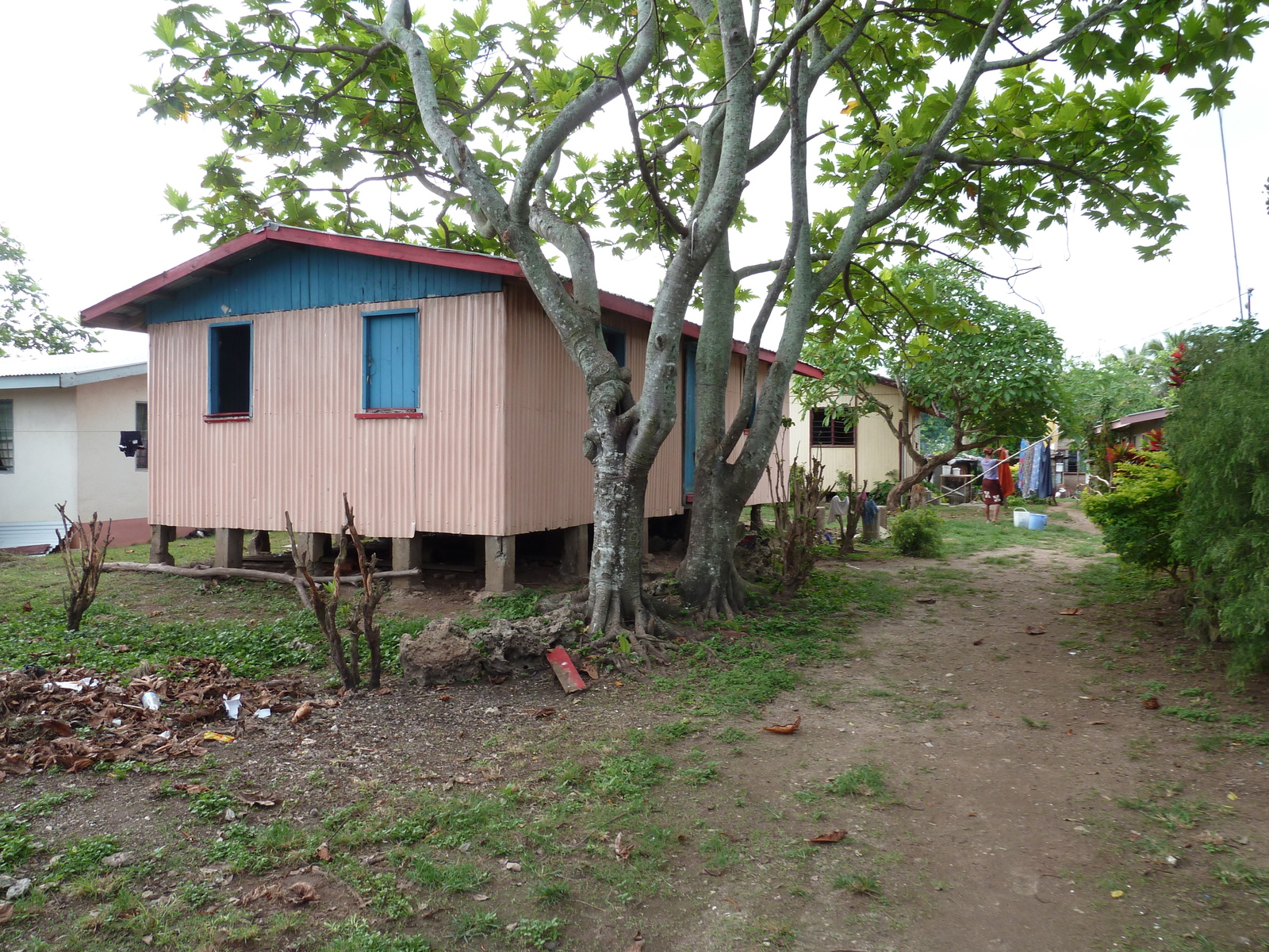 รูปถ่าย ฟิจิ(Fiji) ถนนจากนาดีไปนาตาโดลา(Nadi to Natadola road) 2010-05 60