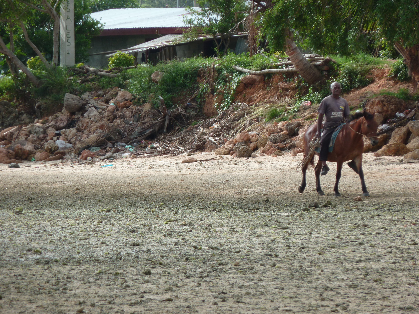 รูปถ่าย ฟิจิ(Fiji) ถนนจากนาดีไปนาตาโดลา(Nadi to Natadola road) 2010-05 47