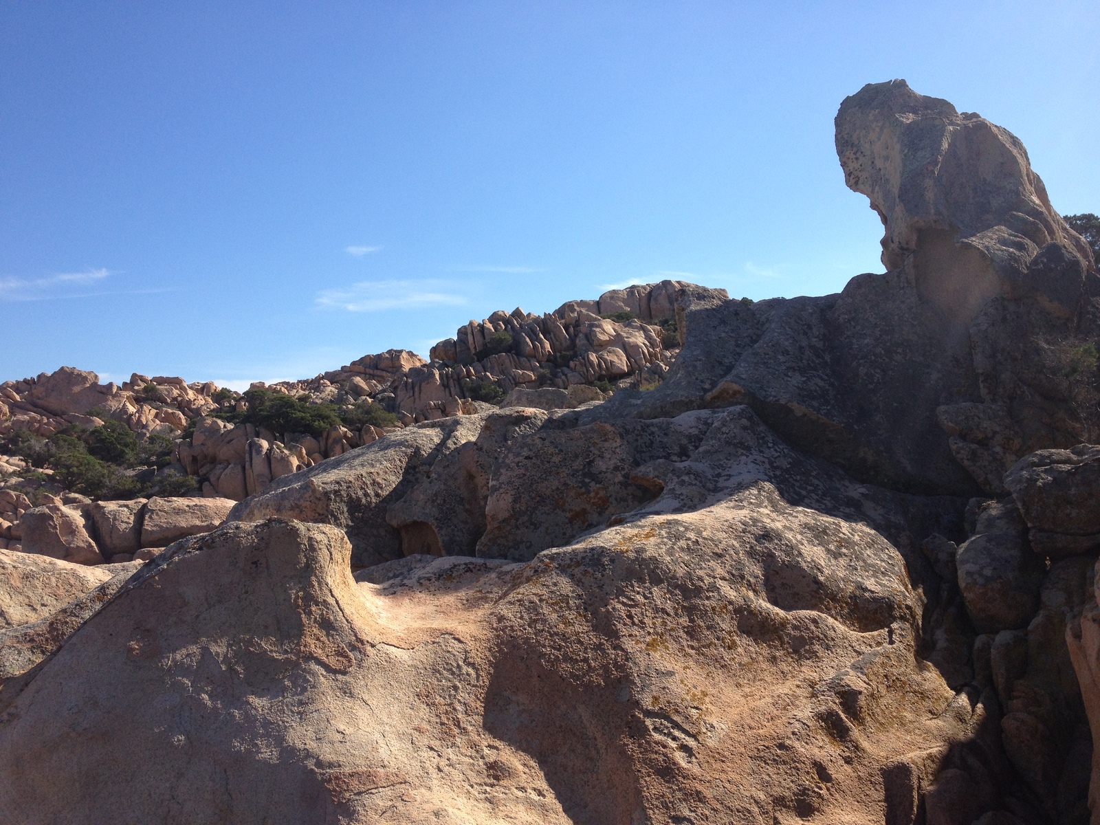 รูปถ่าย อิตาลี(Italy) อ่าวกาลาโกตีชโช(Cala Coticcio) 2012-09 15