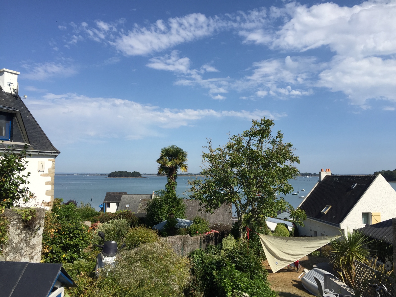 รูปถ่าย ฝรั่งเศส(France) เกาะโอมวน(Ile-aux-Moines) 2016-08 45