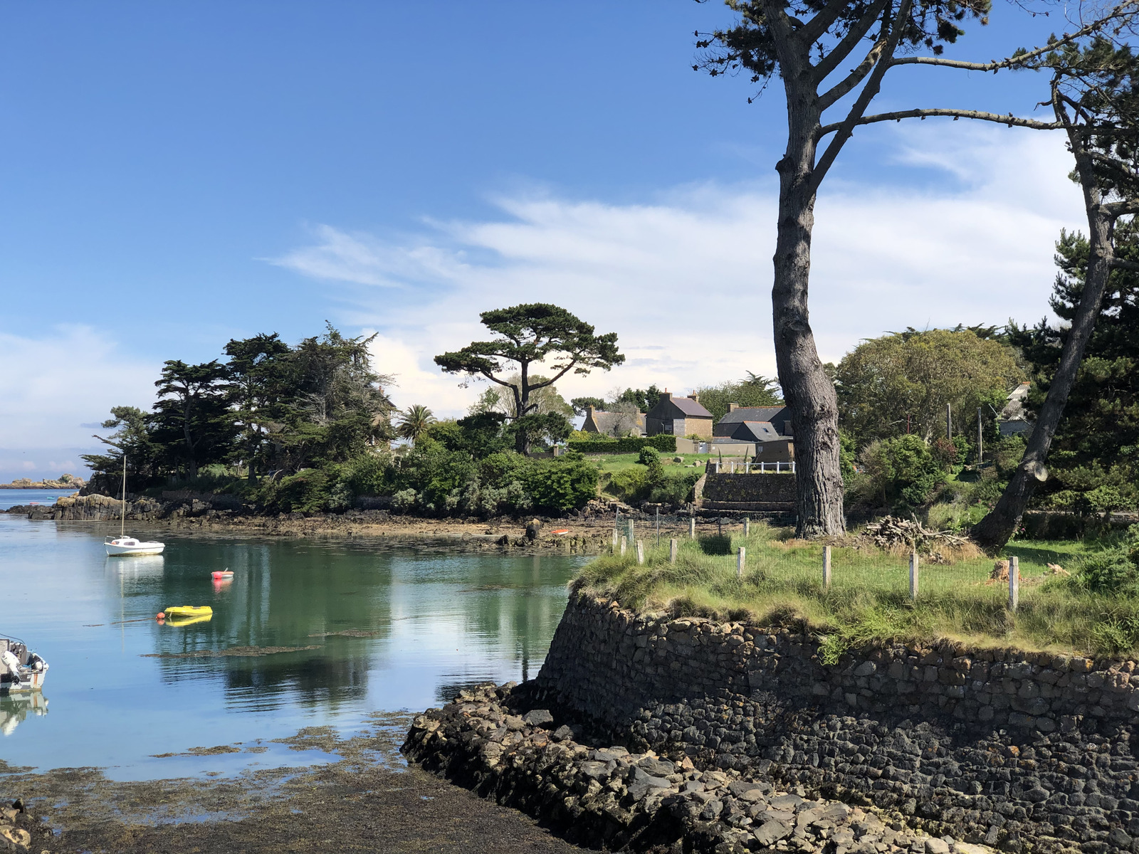 รูปถ่าย ฝรั่งเศส(France) เกาะเบรอา(Brehat Island) 2020-06 209