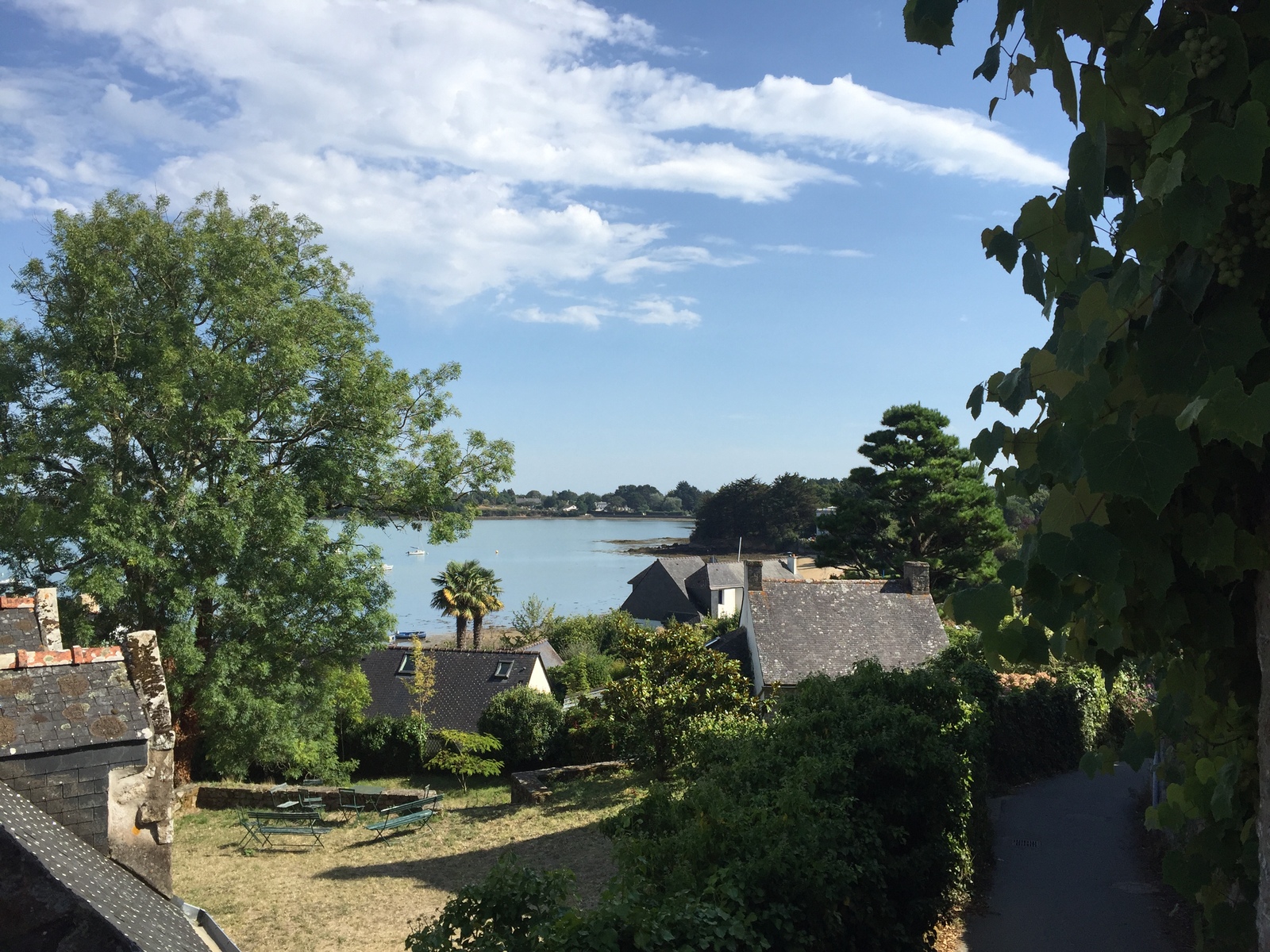 รูปถ่าย ฝรั่งเศส(France) เกาะโอมวน(Ile-aux-Moines) 2016-08 65