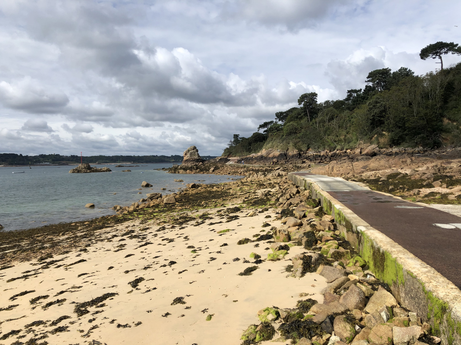 รูปถ่าย ฝรั่งเศส(France) เกาะเบรอา(Brehat Island) 2020-06 138