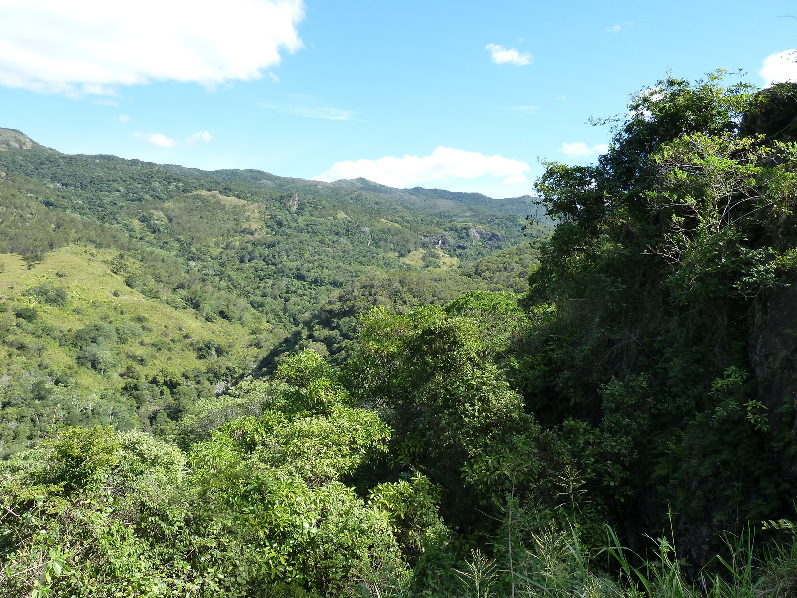 รูปถ่าย นิวแคลิโดเนีย(New Caledonia) ถนนจากทีโอไปกานาลา(Thio to Canala road) 2010-05 29
