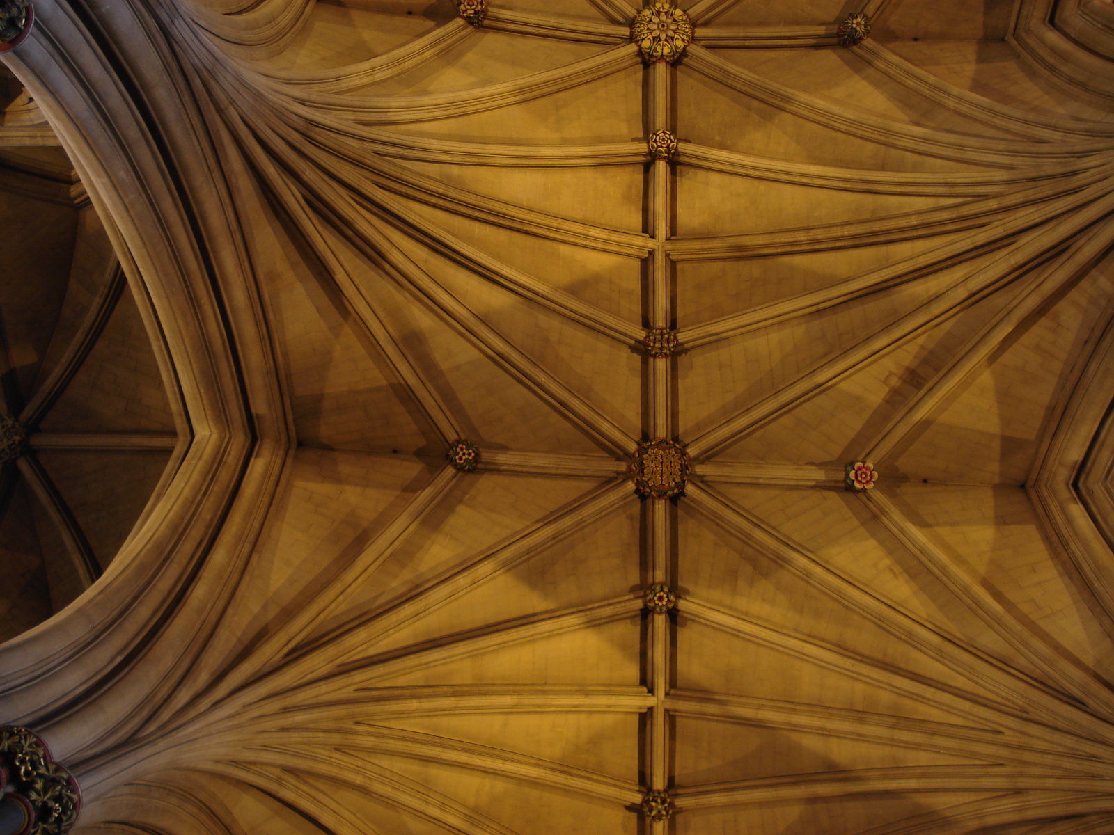 รูปถ่าย อังกฤษ(United Kingdom) บริสโตล(Bristol) 2006-05 47