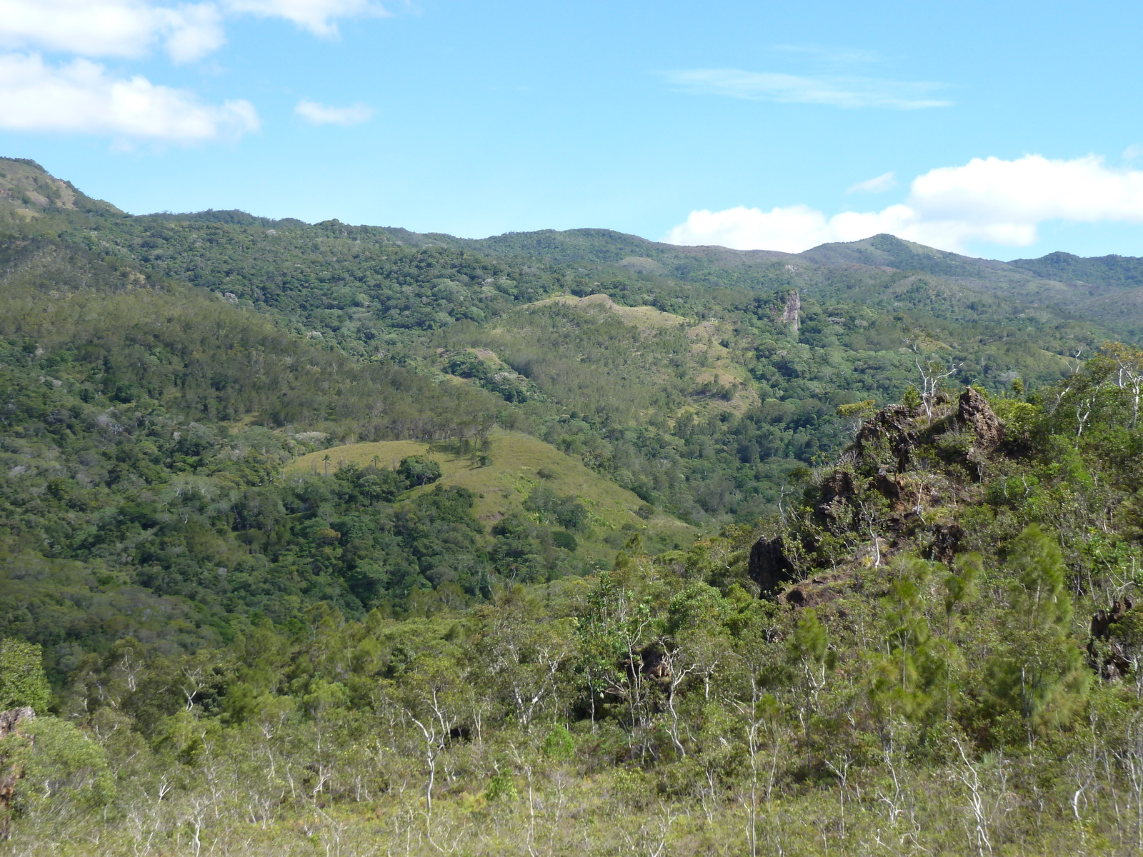 รูปถ่าย นิวแคลิโดเนีย(New Caledonia) ถนนจากทีโอไปกานาลา(Thio to Canala road) 2010-05 42