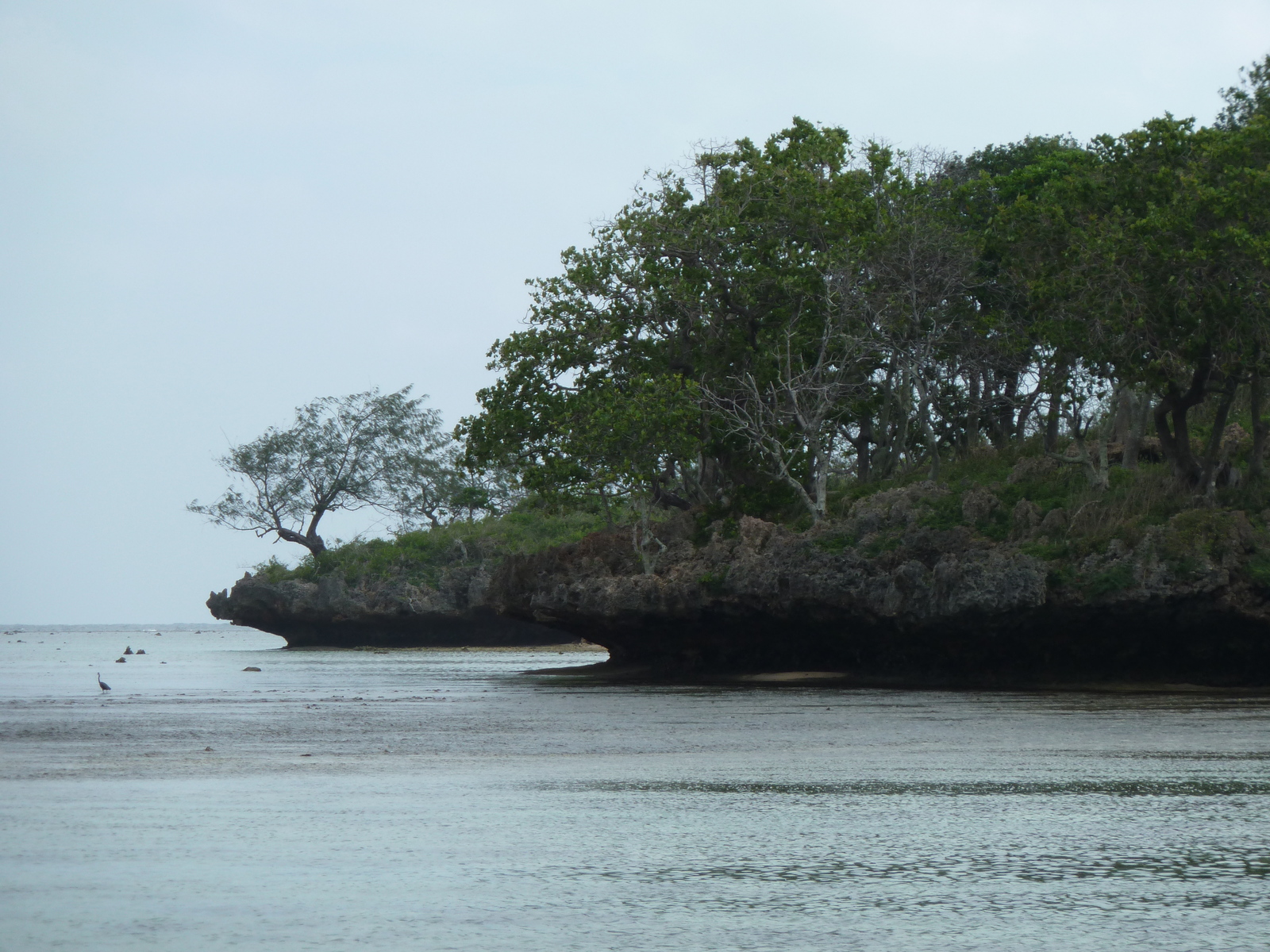 รูปถ่าย ฟิจิ(Fiji) ถนนจากนาดีไปนาตาโดลา(Nadi to Natadola road) 2010-05 42