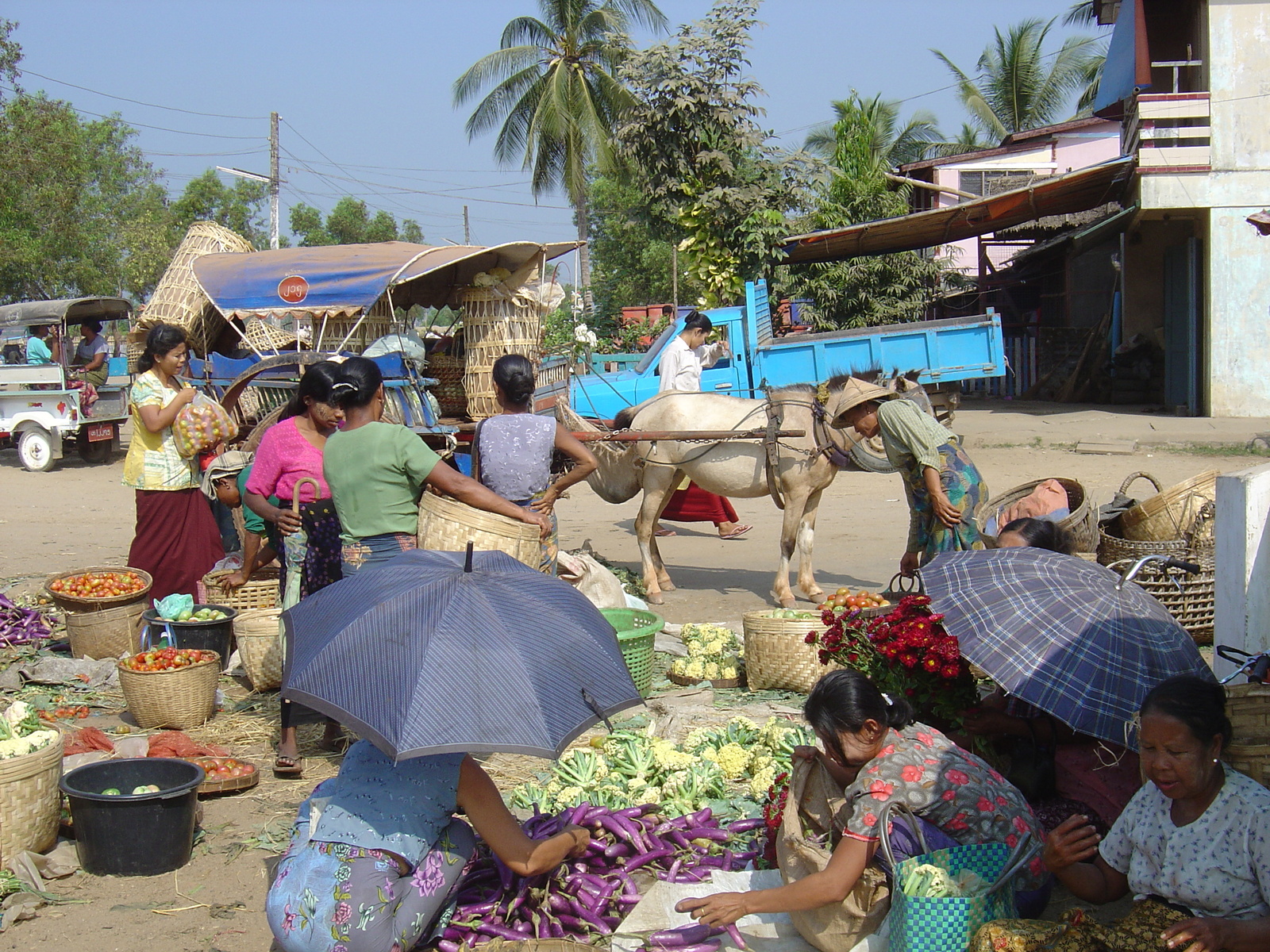 รูปถ่าย พม่า(Myanmar) ทวาย(Dawei (TAVOY)) 2005-01 94