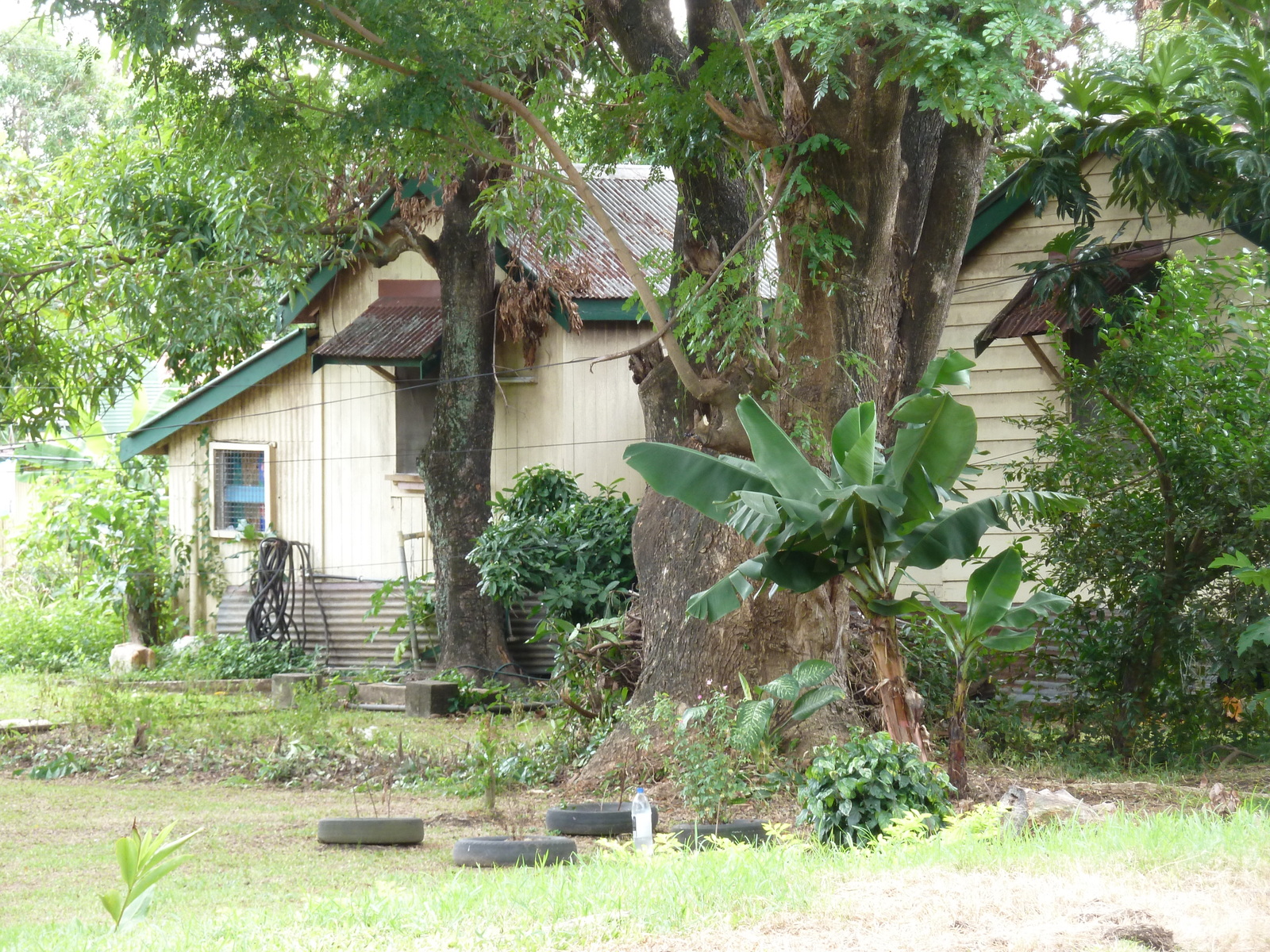 รูปถ่าย ฟิจิ(Fiji) เลาโตกา(Lautoka) 2010-05 14