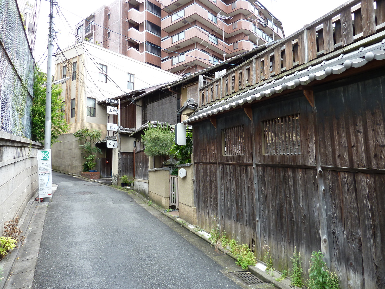รูปถ่าย ญี่ปุ่น(Japan) เกียวโต(Kyoto) ถนนฮานามิโคจิ(Hanami koji) 2010-06 32