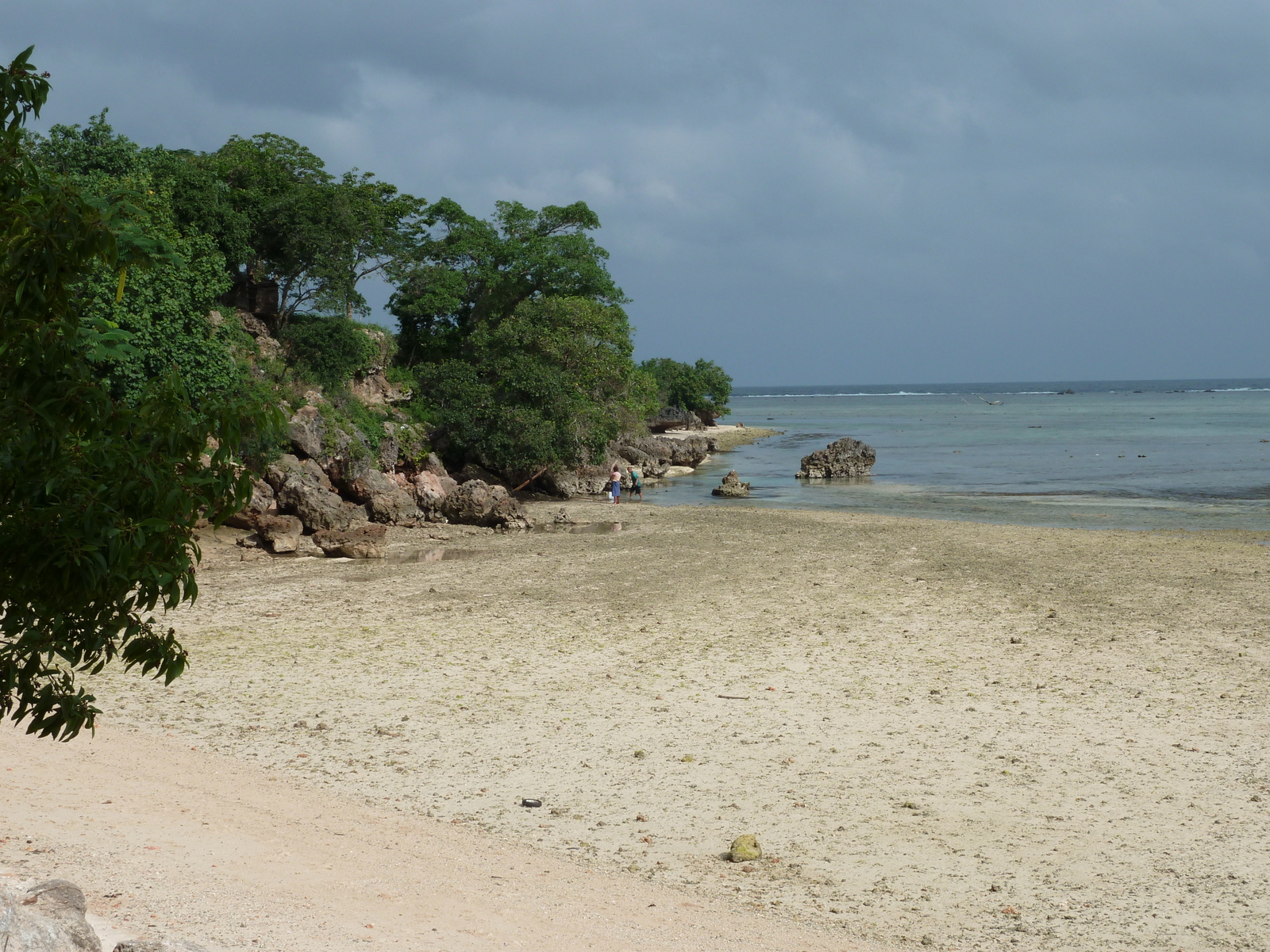 รูปถ่าย ฟิจิ(Fiji) ถนนจากนาดีไปนาตาโดลา(Nadi to Natadola road) 2010-05 52