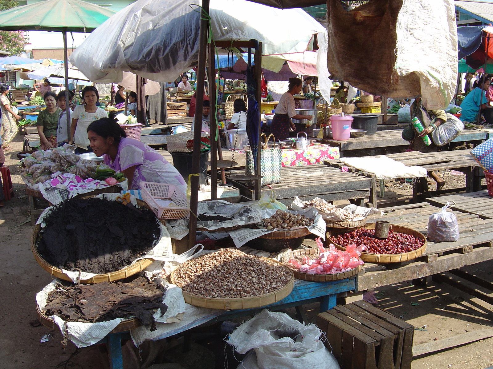 รูปถ่าย พม่า(Myanmar) ทวาย(Dawei (TAVOY)) 2005-01 68