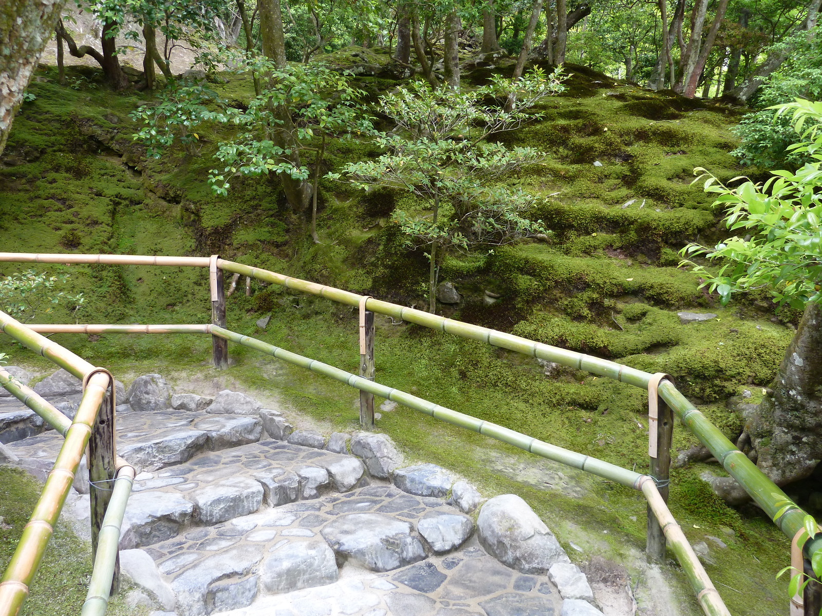 รูปถ่าย ญี่ปุ่น(Japan) เกียวโต(Kyoto) วัดกินกะกุจิ (ศาลาเงิน)(Ginkakuji Temple(Silver Pavilion)) 2010-06 20