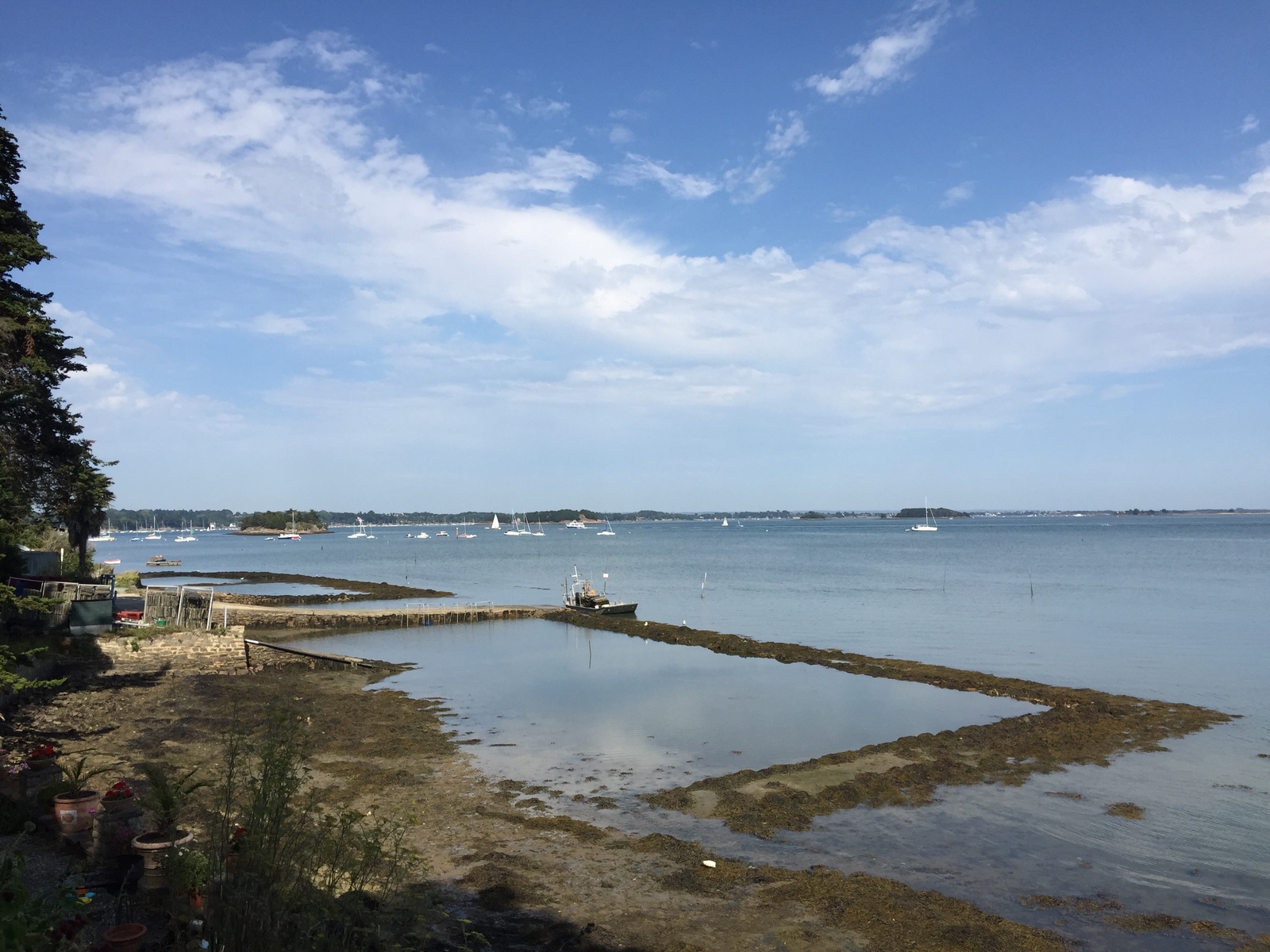 รูปถ่าย ฝรั่งเศส(France) เกาะโอมวน(Ile-aux-Moines) 2016-08 56