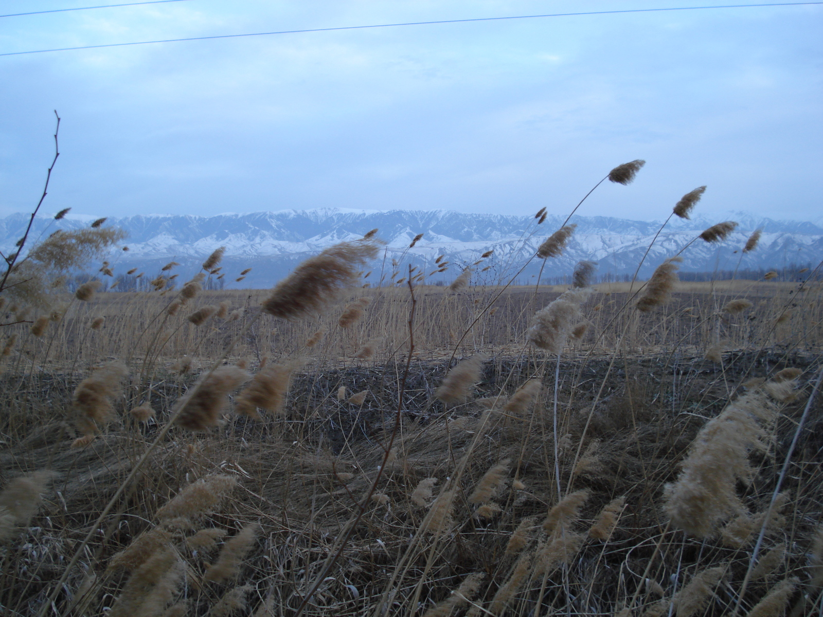 รูปถ่าย คาซัคสถาน(Kazakhstan) ถนนจากอัลมาตีไปหุบผาชารึน(Almaty to Charyn Canyon road) 2007-03 136