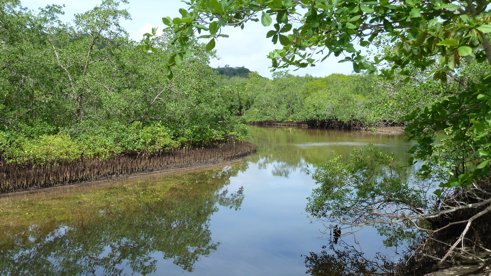 รูปถ่าย เซเชลส์(Seychelles) เกาะมาเฮ(Mahe) 2011-10 174