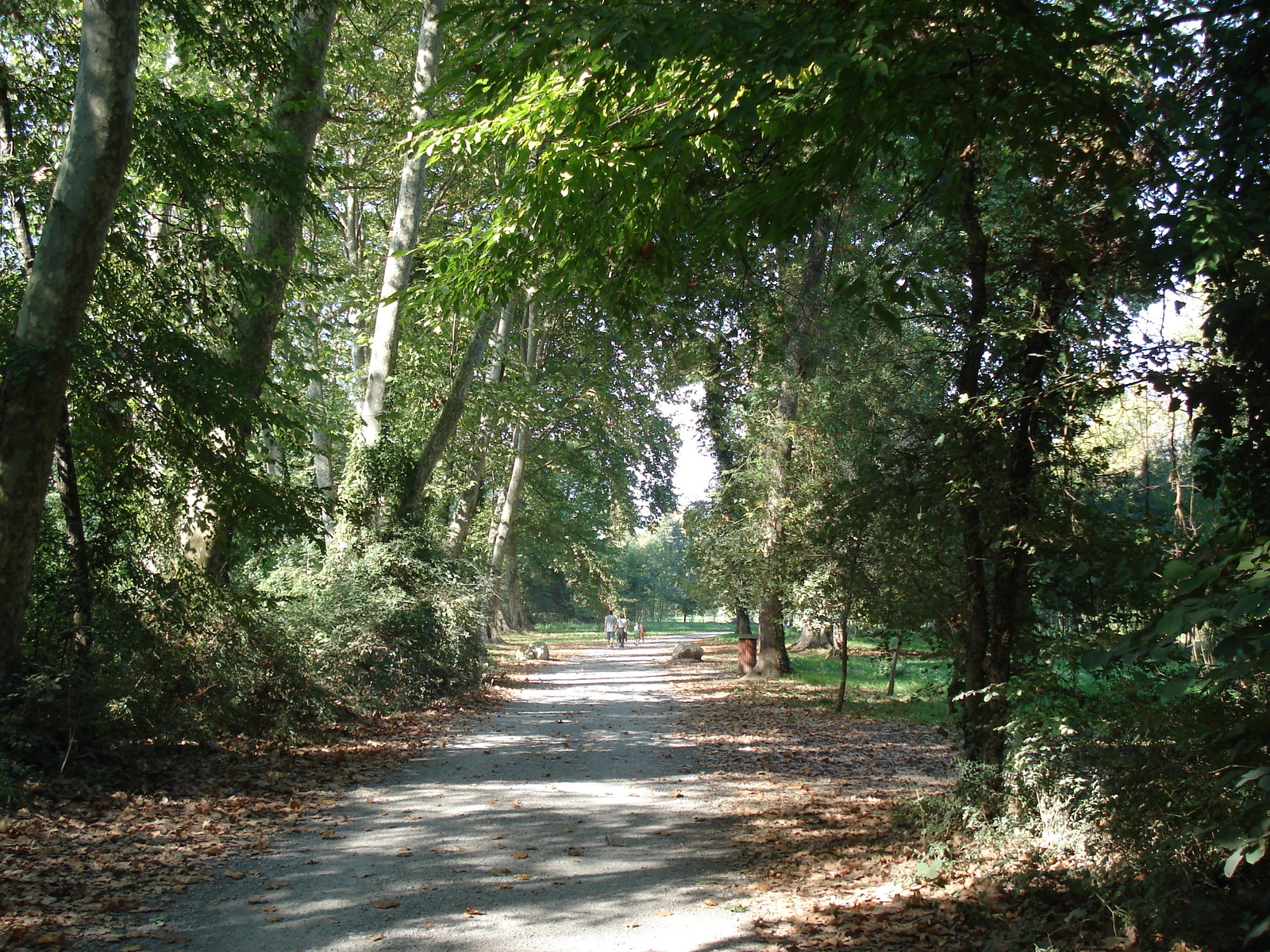 รูปถ่าย ฝรั่งเศส(France) วีลเนิฟ-ลูแบ(Villeneuve Loubet) 2006-10 24